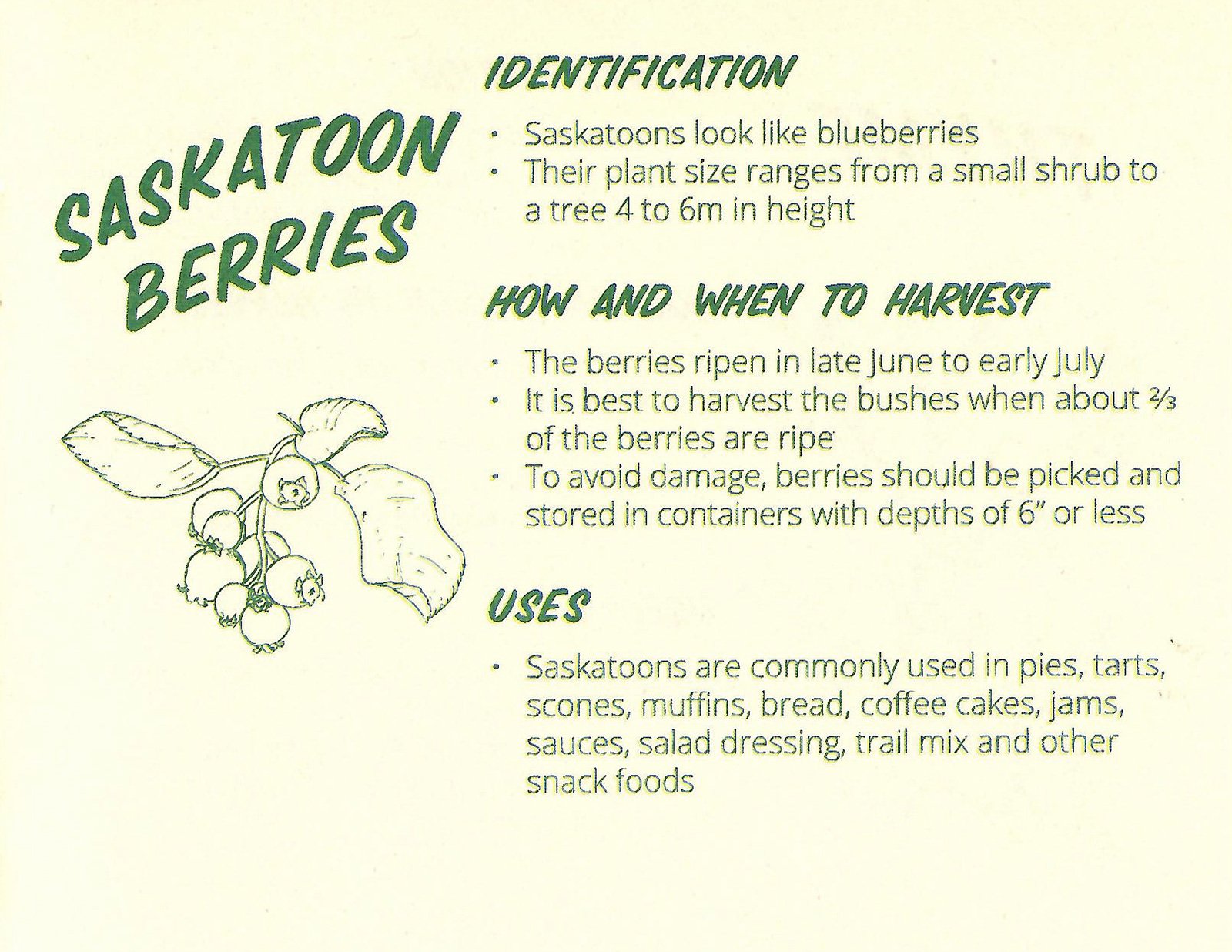 EdiblePlants05.jpg