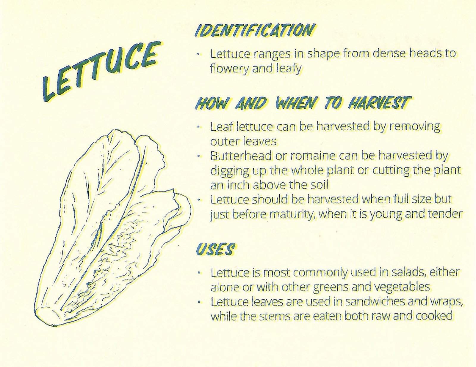 EdiblePlants10.jpg