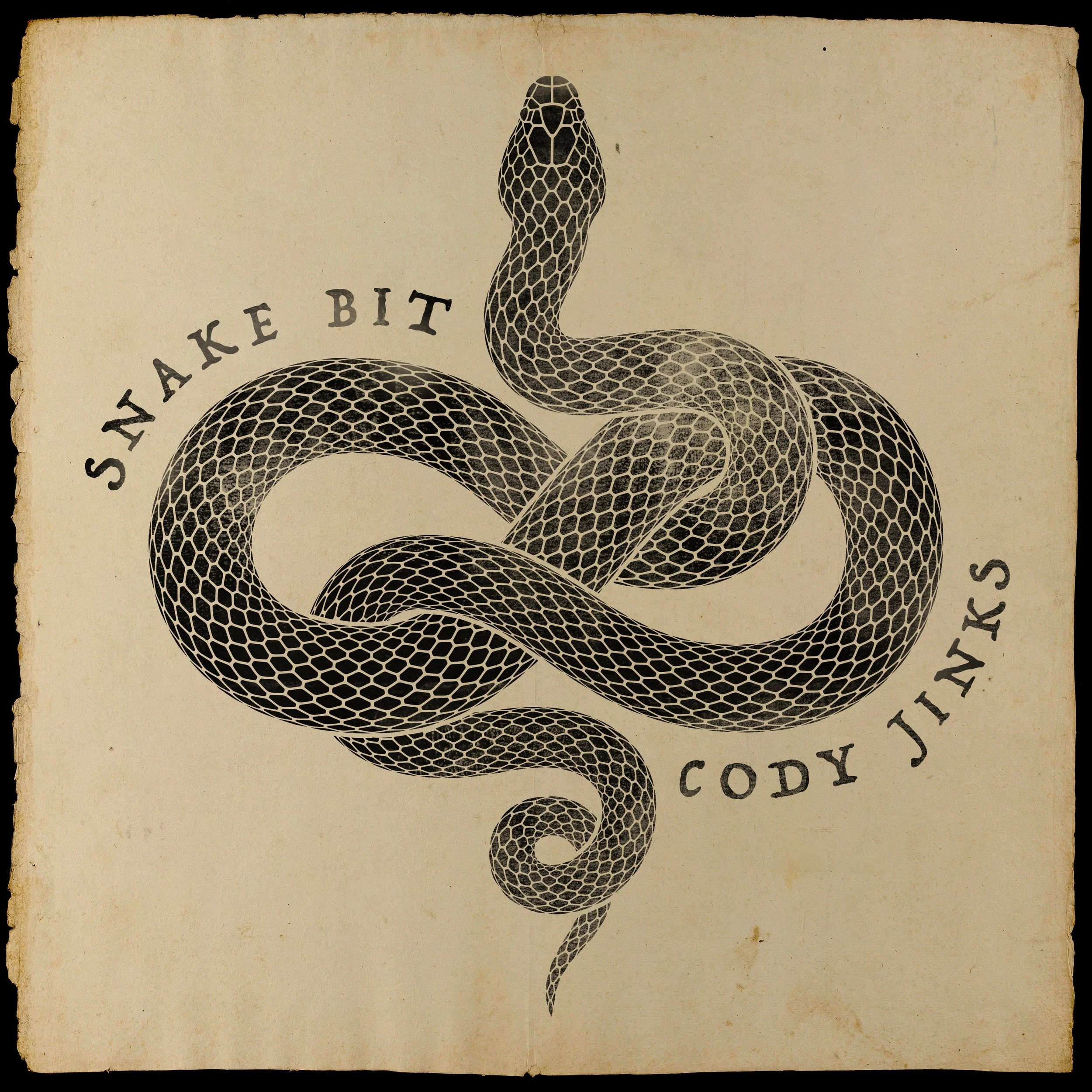 Cody Jinks Snake Bit Single Cover 3000px.jpg