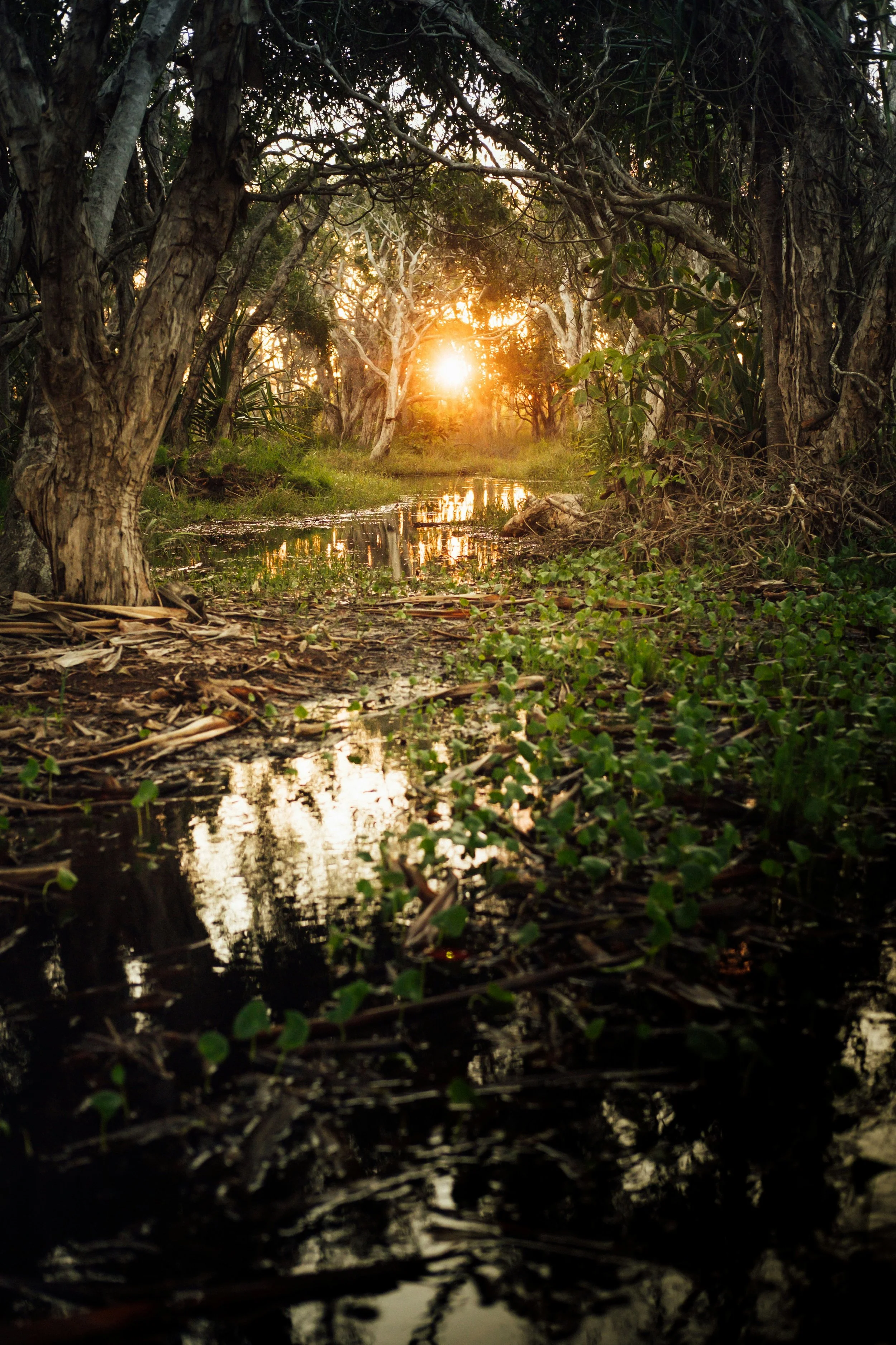 tim-foster-SCwELGEC5bU-unsplash.jpg