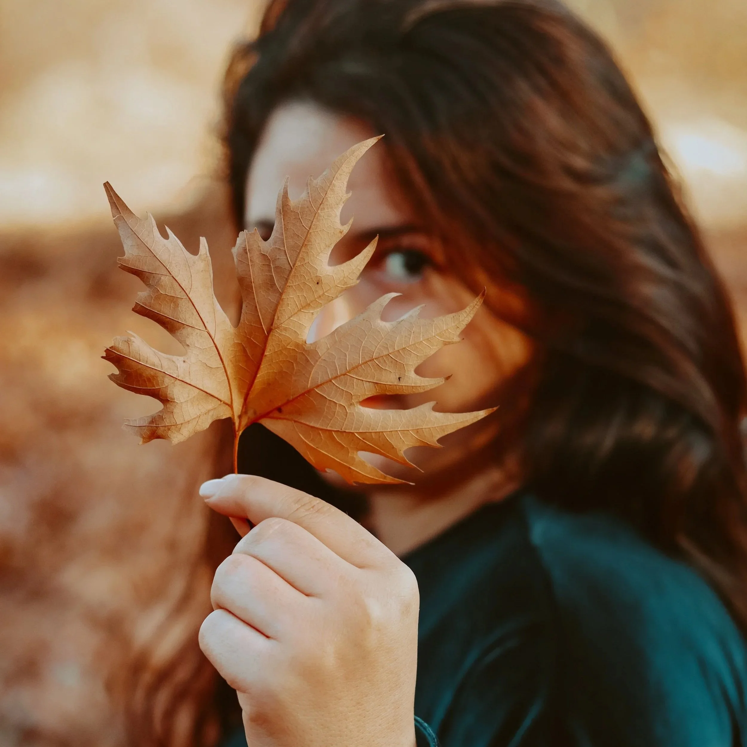 Fall Seasonal Services
