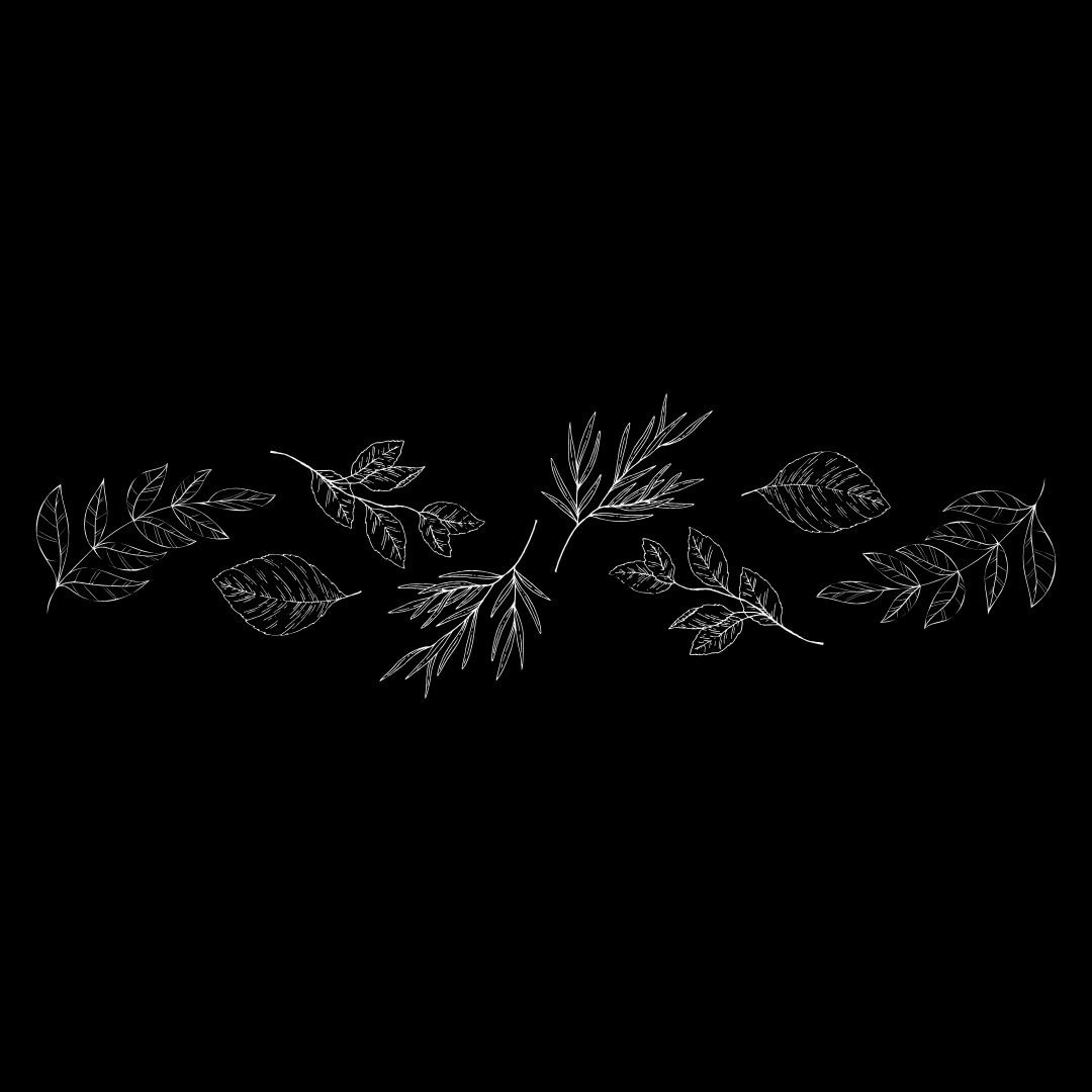 Various leaves divider