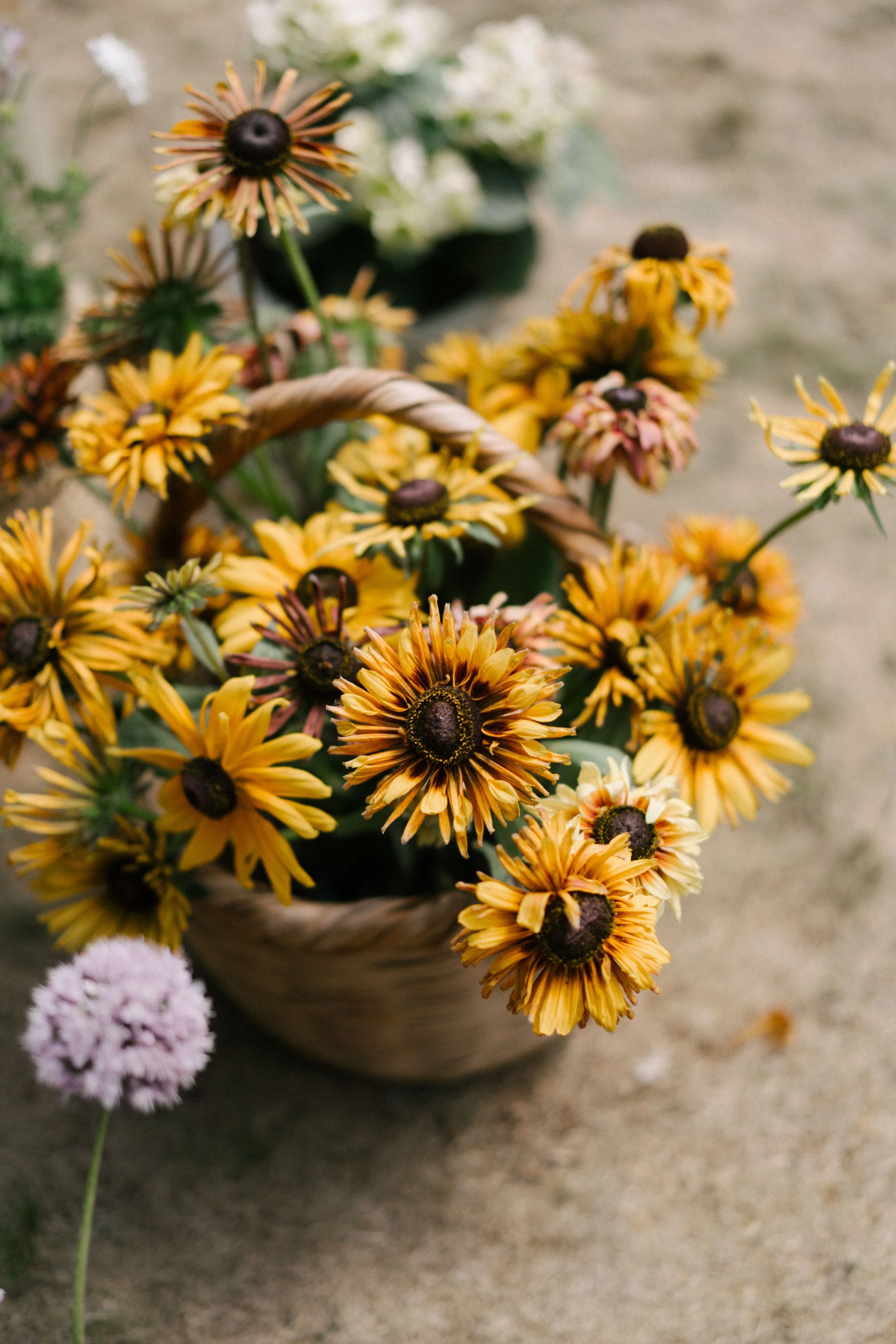 The Shannons Photography - Ellie & Ben-7.jpg