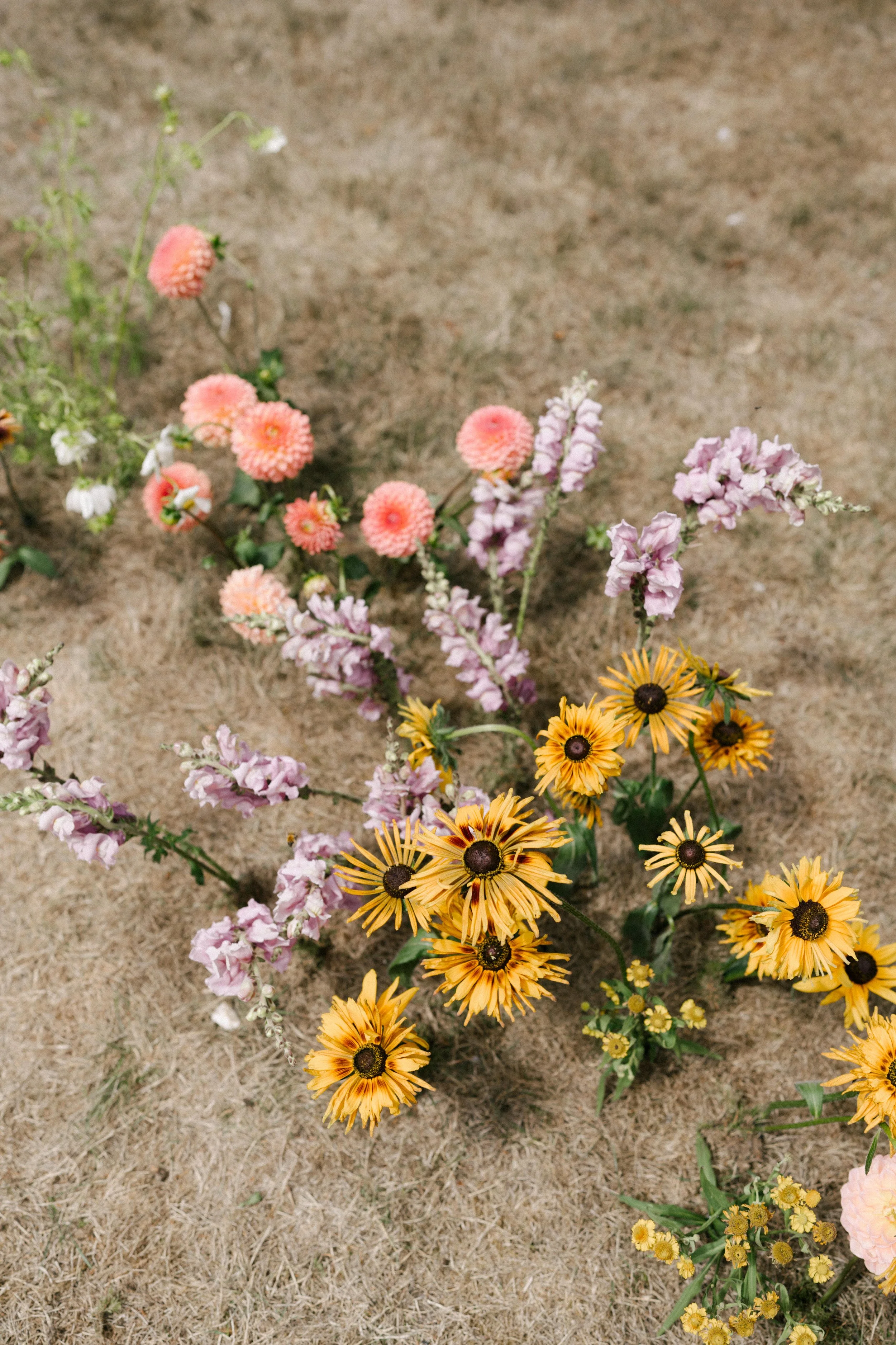 The Shannons Photography - Ellie & Ben-110.jpg