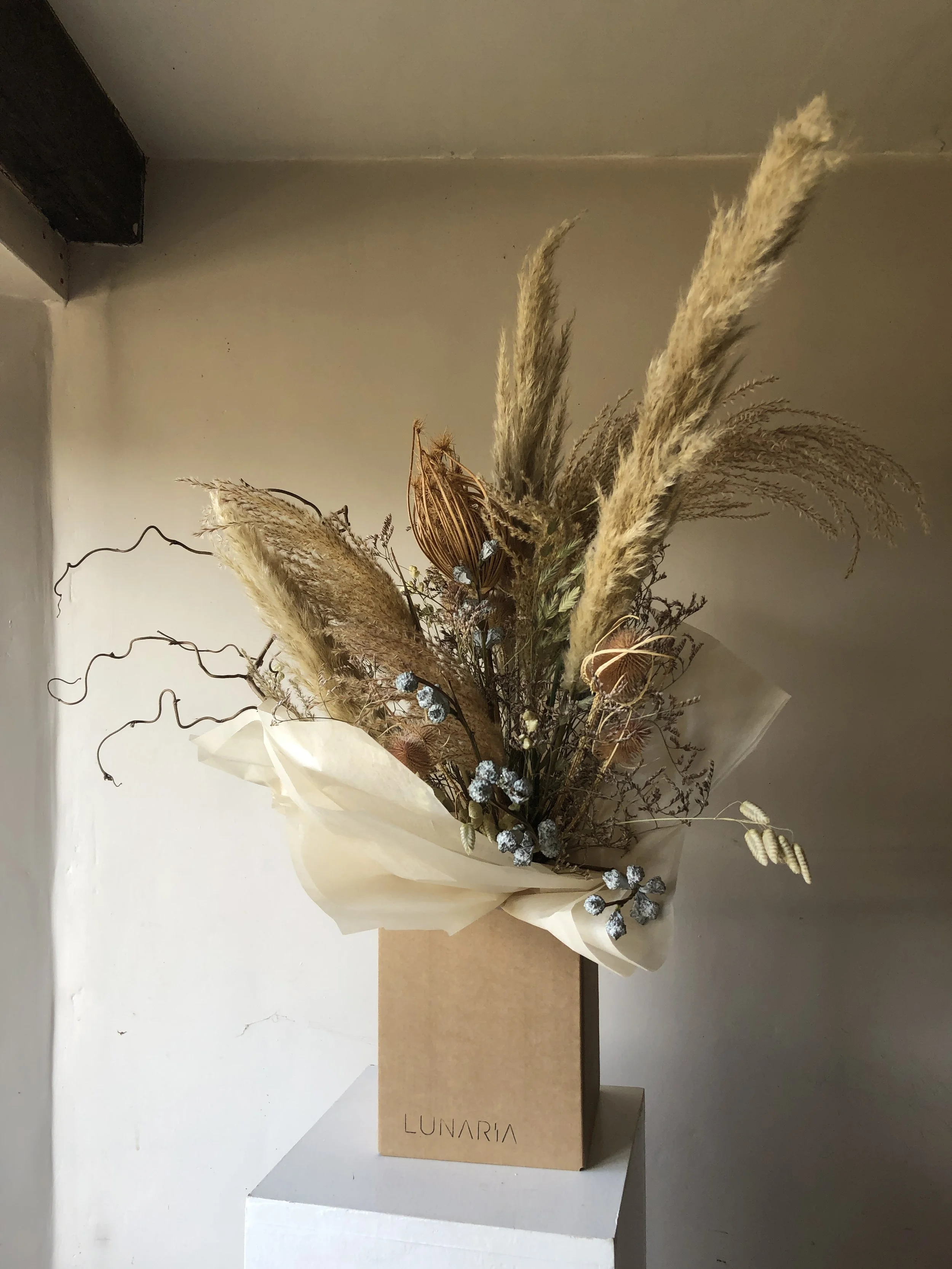 LUNARIA_SPECIALITY GFTING 13.JPG