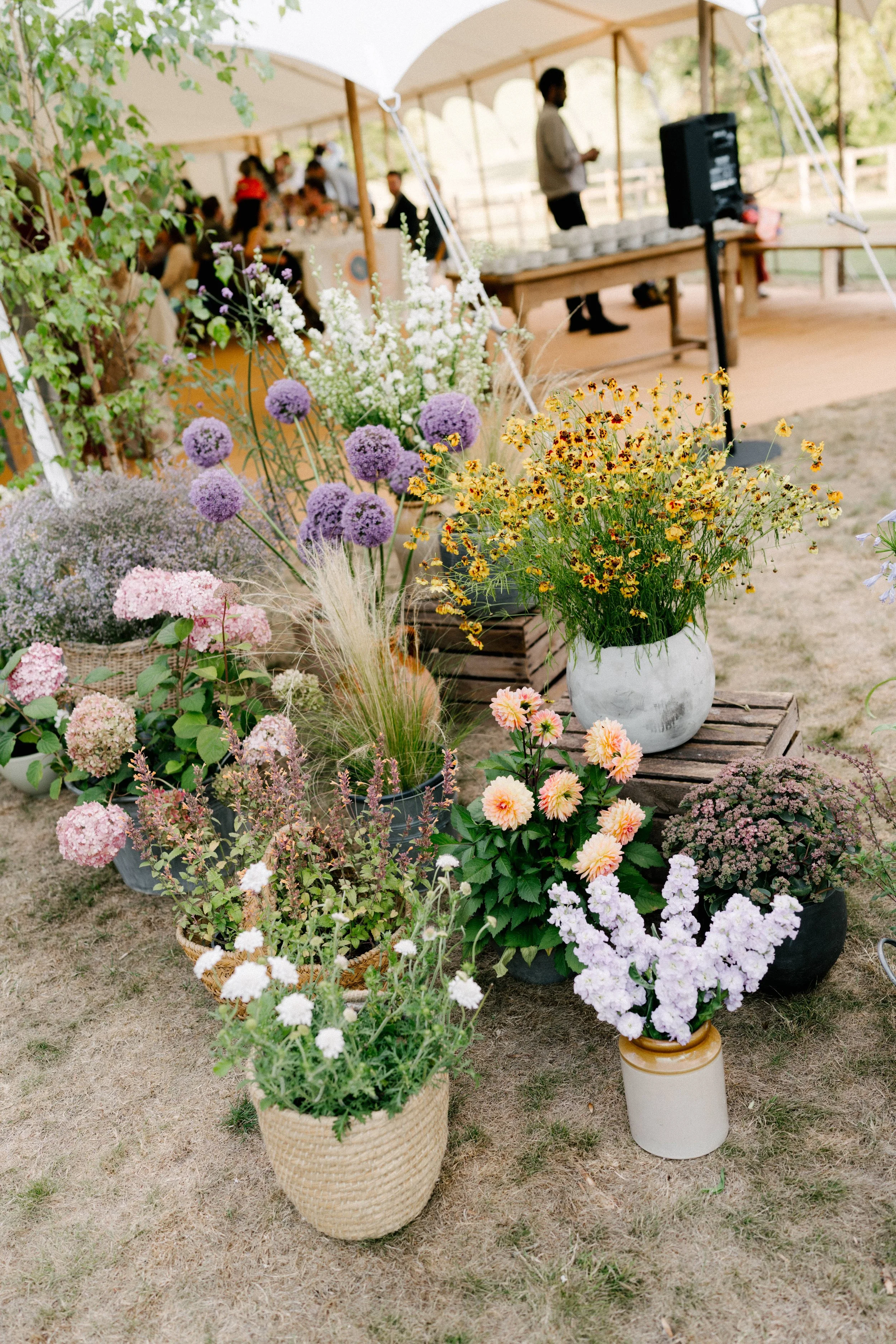 The Shannons Photography - Ellie & Ben-573.jpg