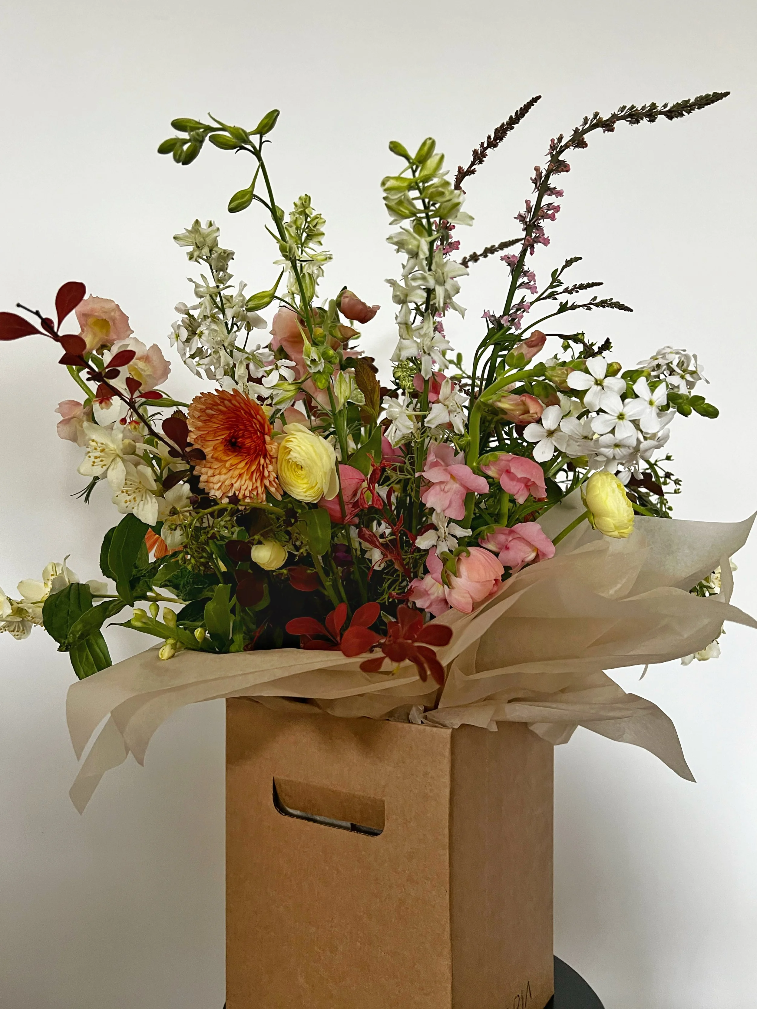 LUNARIA_SPECIALITY GFTING 14.JPG