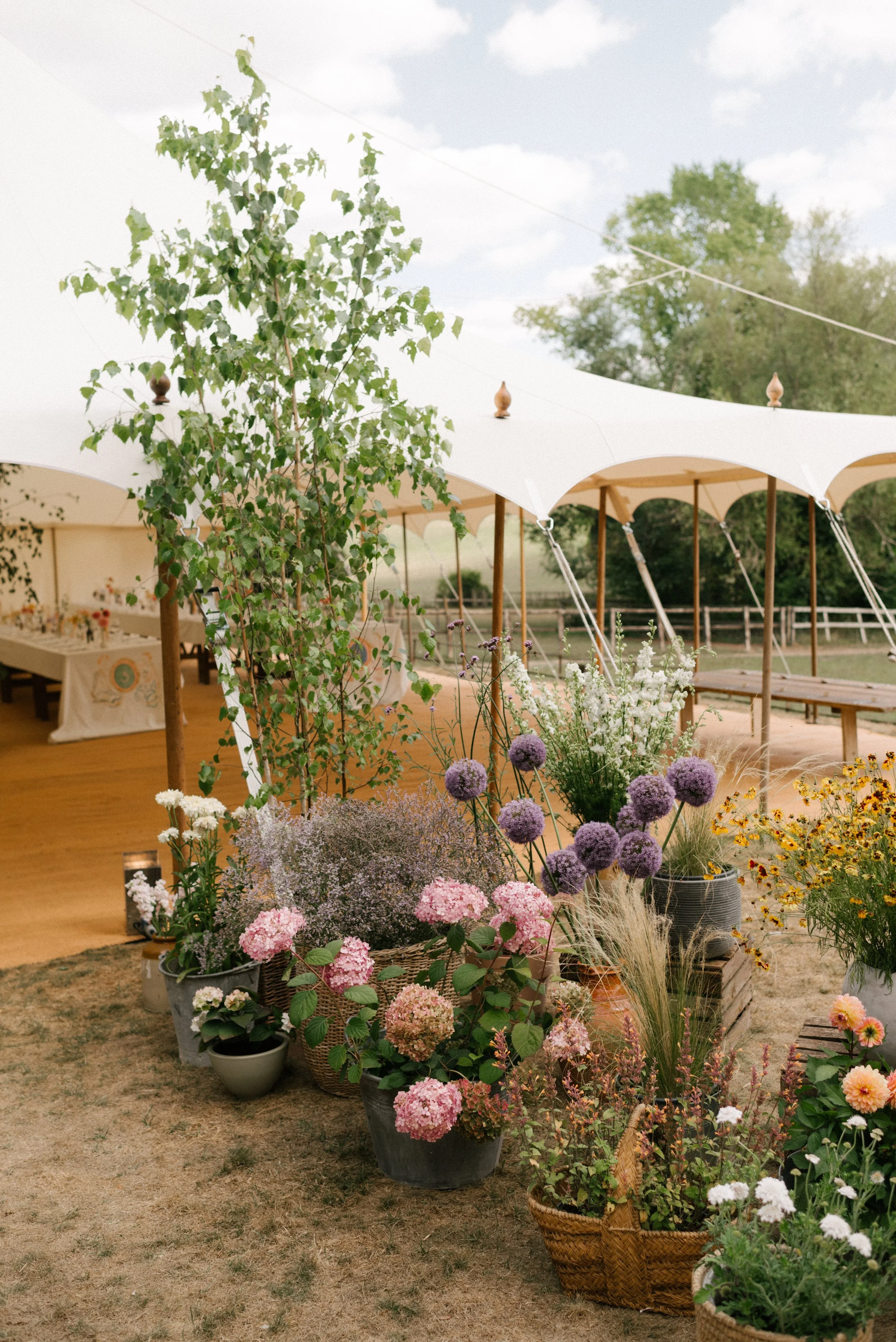 The Shannons Photography - Ellie & Ben-251.jpg