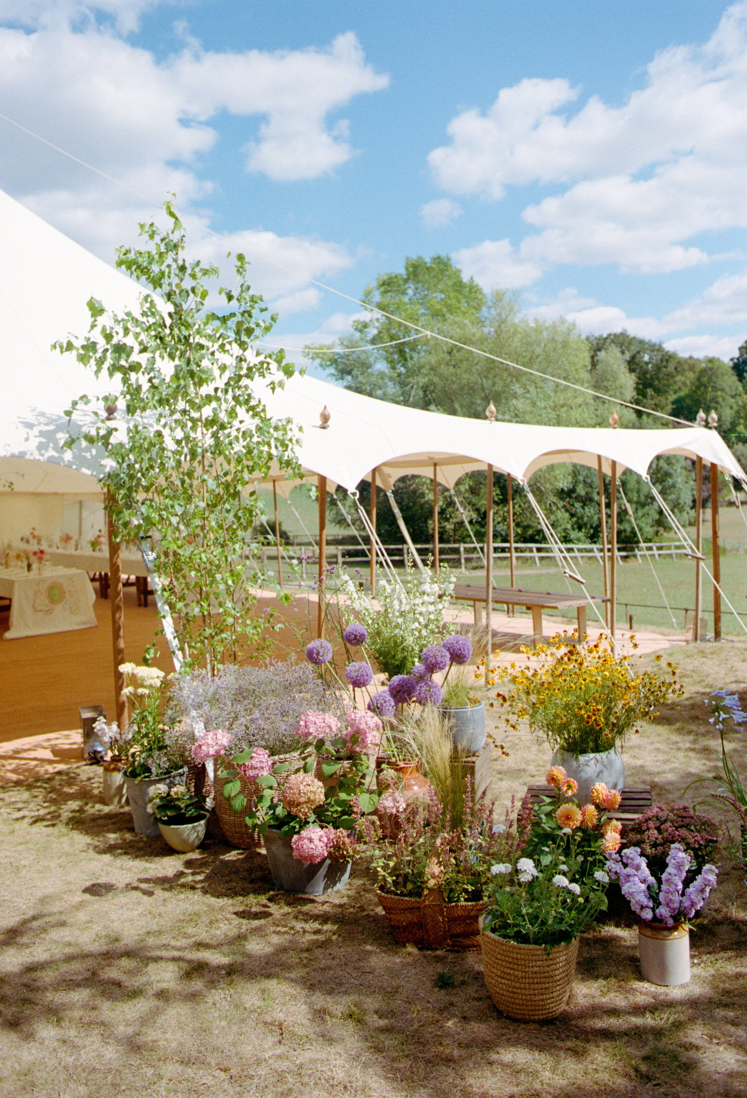 The Shannons Photography - Ellie & Ben 35mm Film Scans-3.jpg