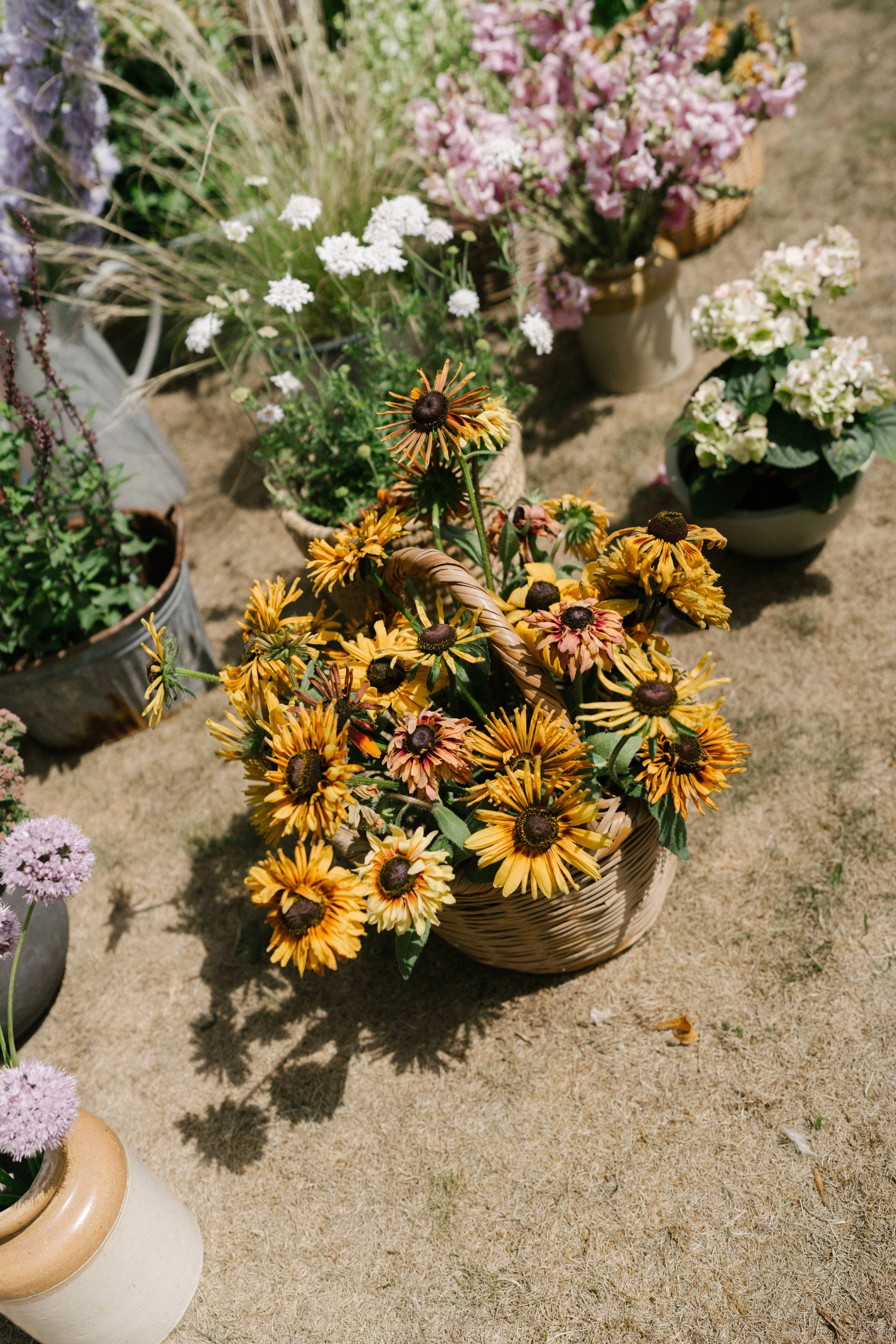 The Shannons Photography - Ellie & Ben-113.jpg