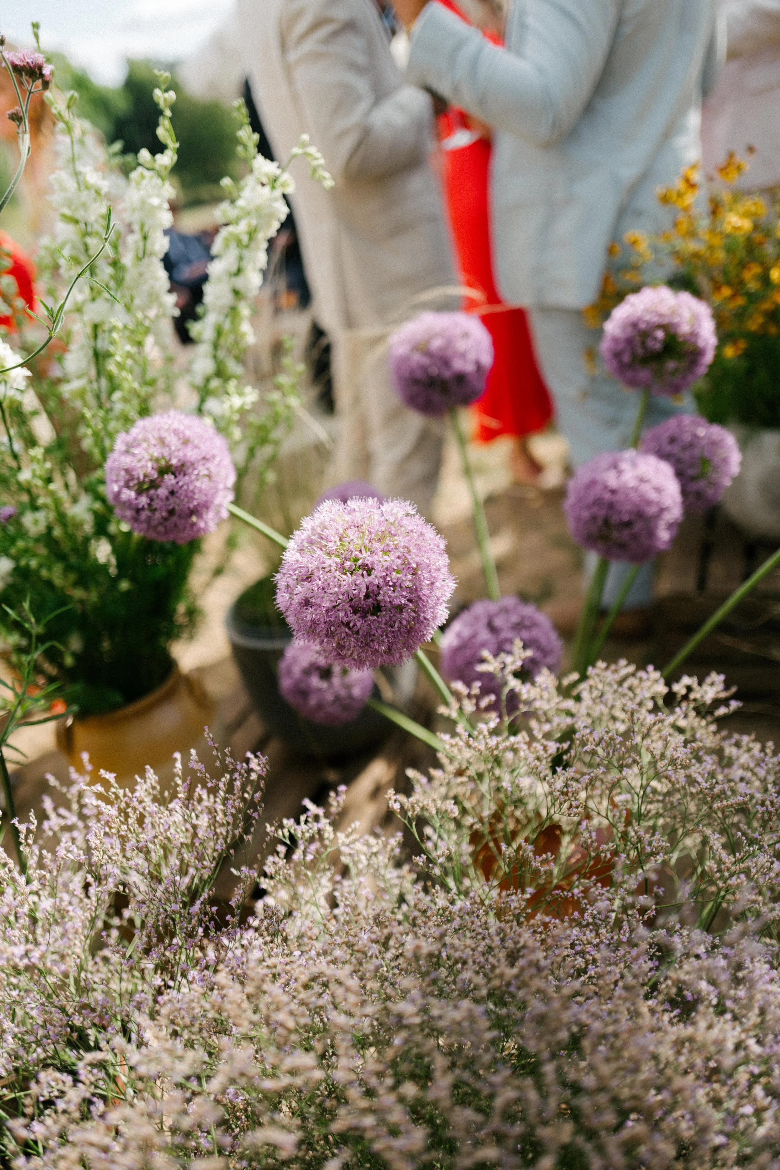 The Shannons Photography - Ellie & Ben-433.jpg