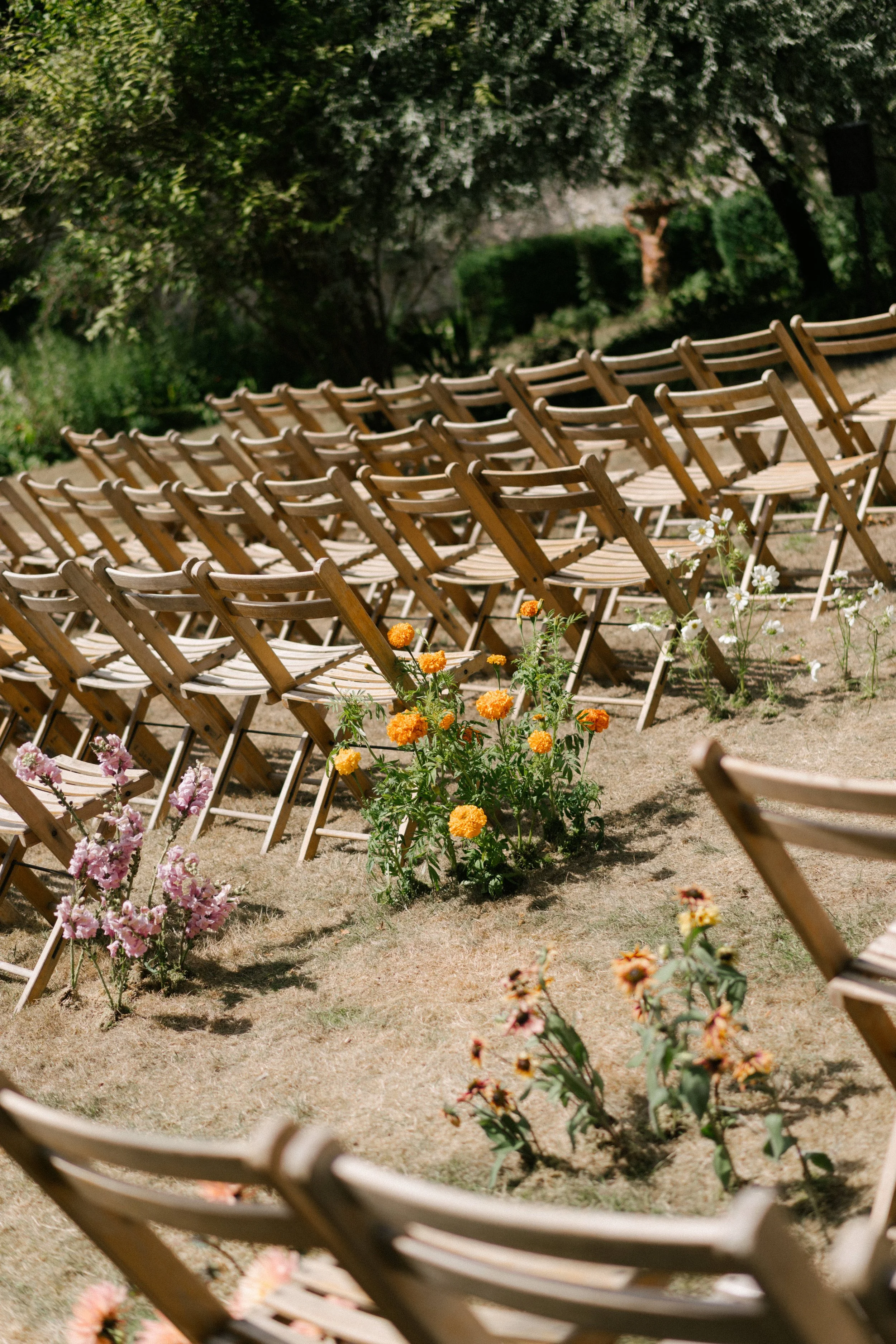 The Shannons Photography - Ellie & Ben-116.jpg