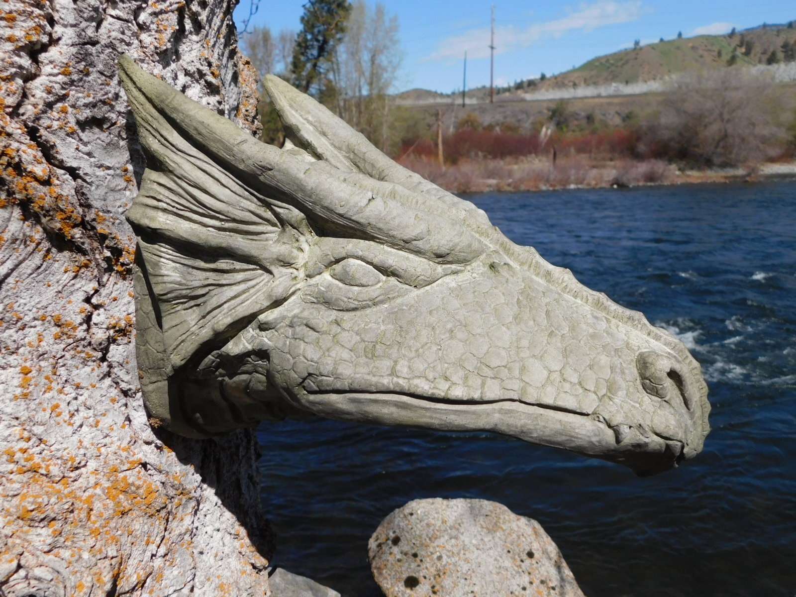 Dragon Head
