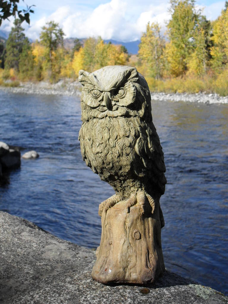 Owl