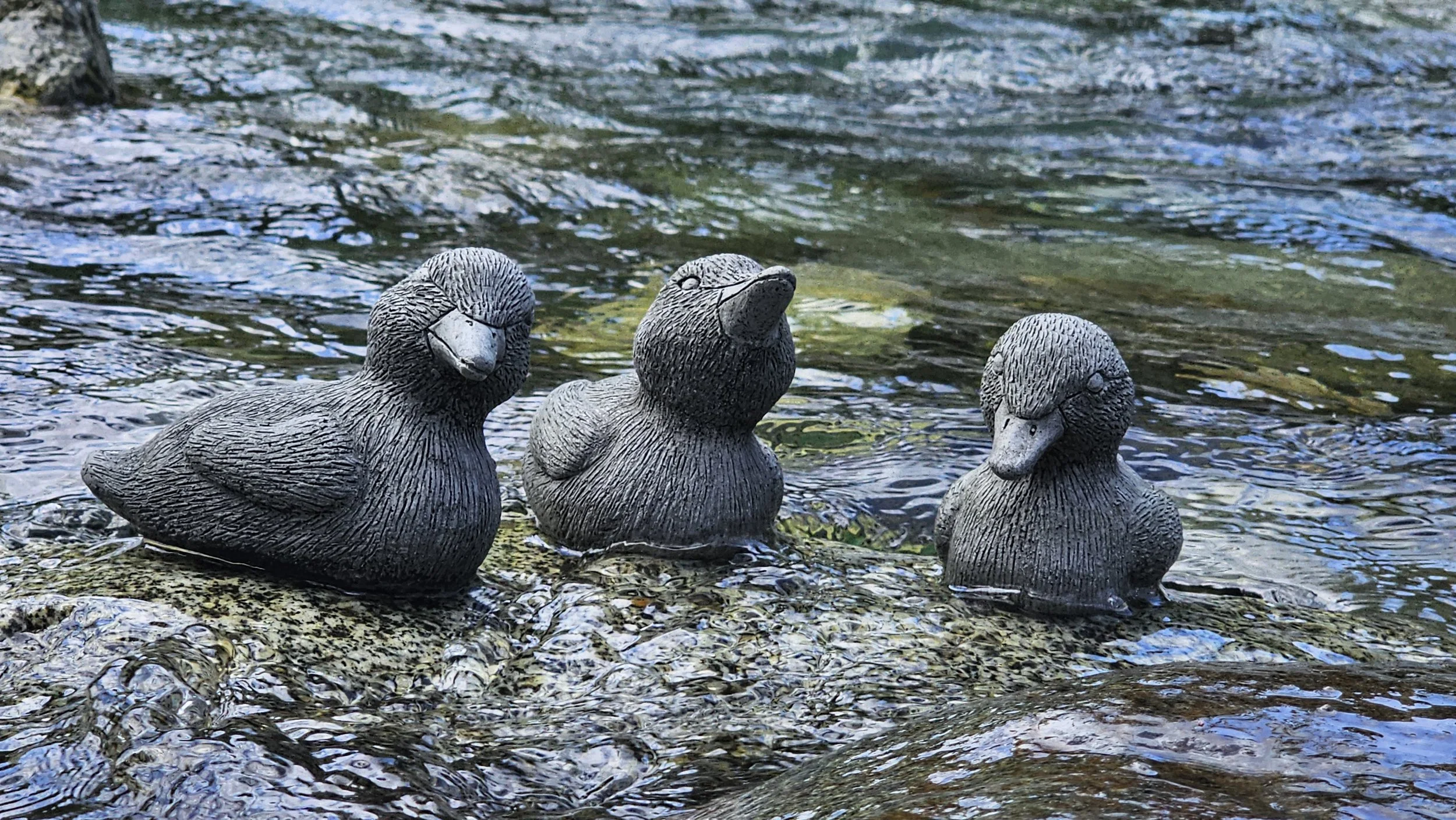 Duckling