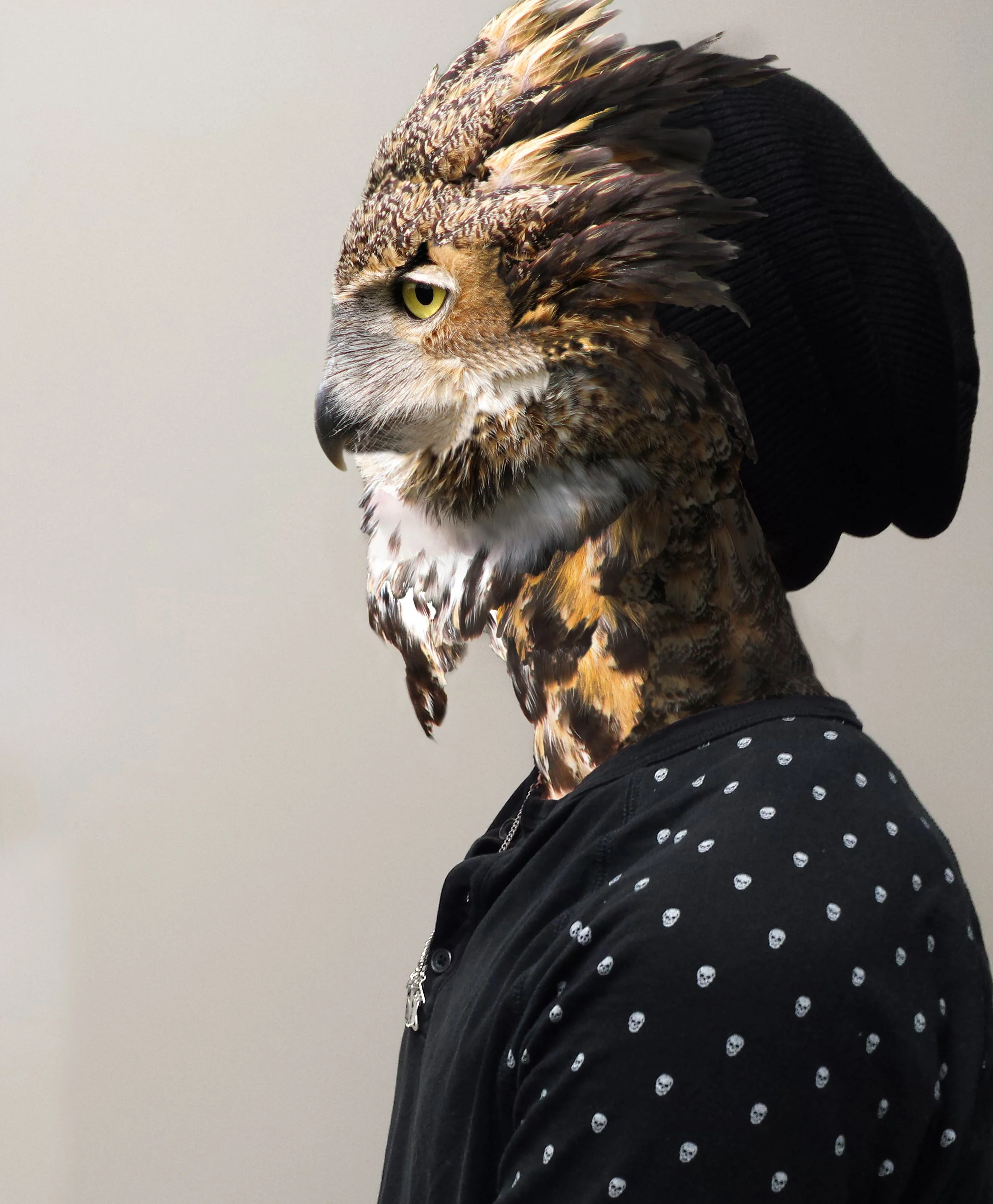 Beathe-5-Animal Morph-Owls Among Us.jpg