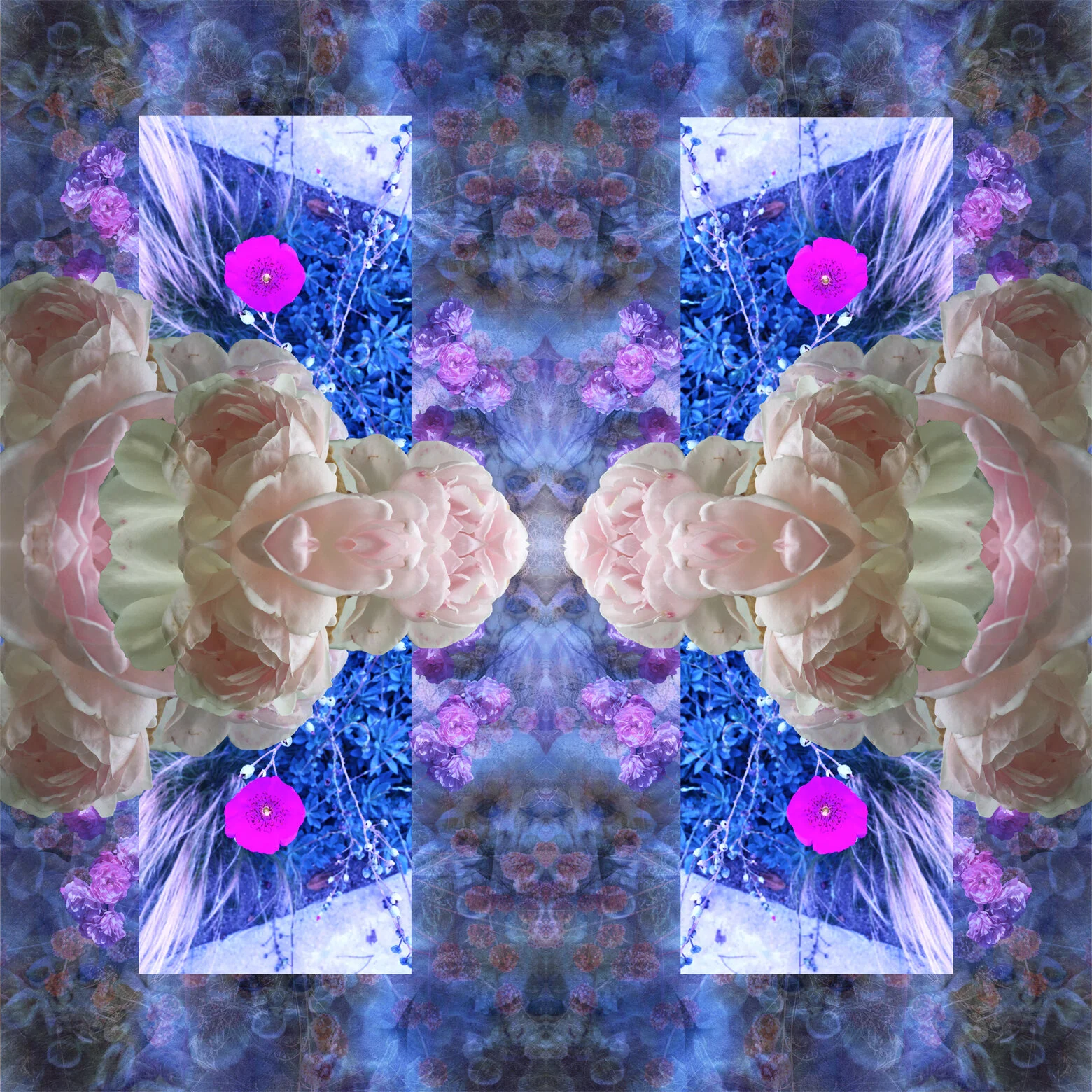 MonkeyBliss copy.jpg