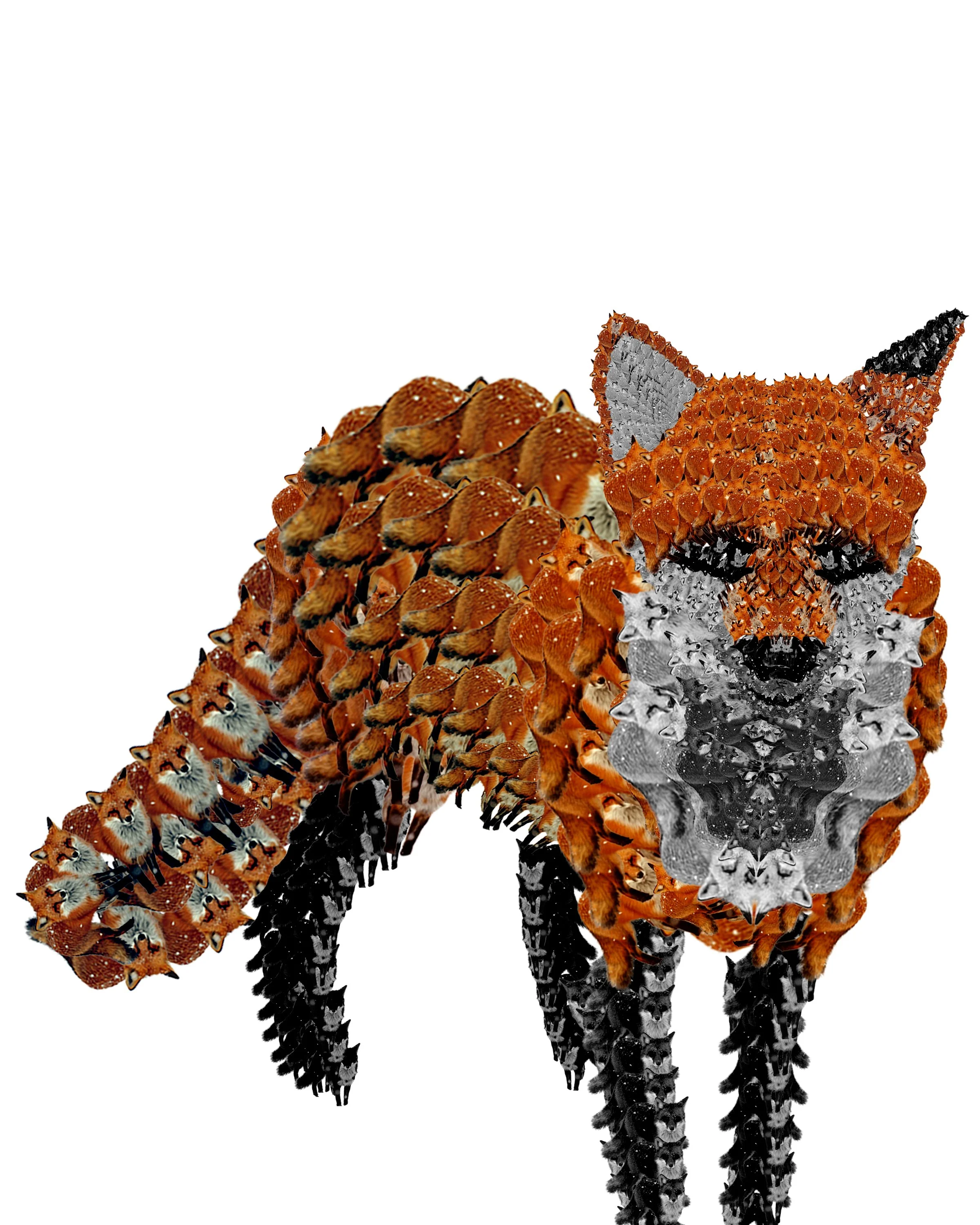 Beathe-1-Animal Layer-For Fox Sake.jpg