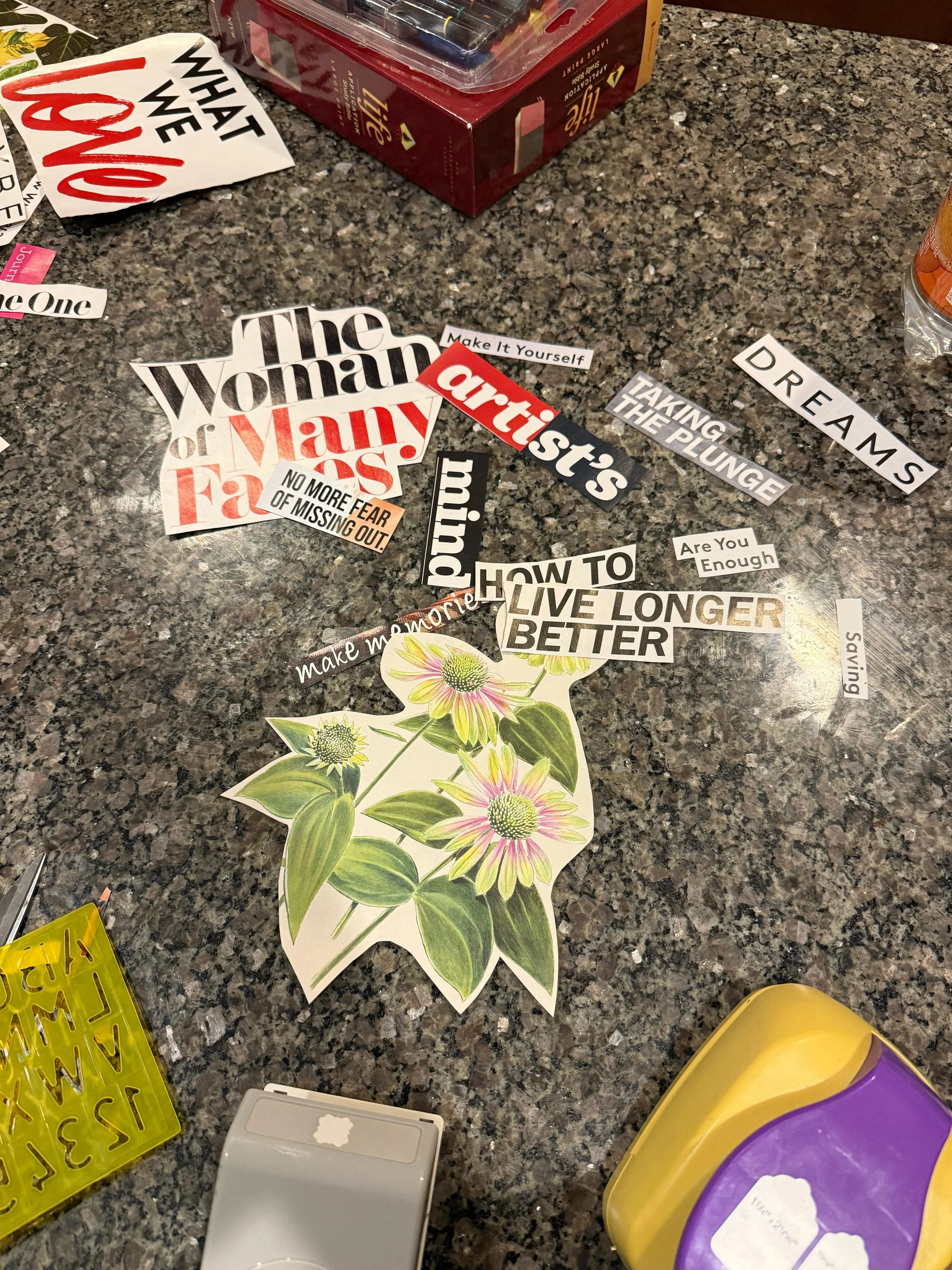 Vision Board vs. Vision Journal: What We Like