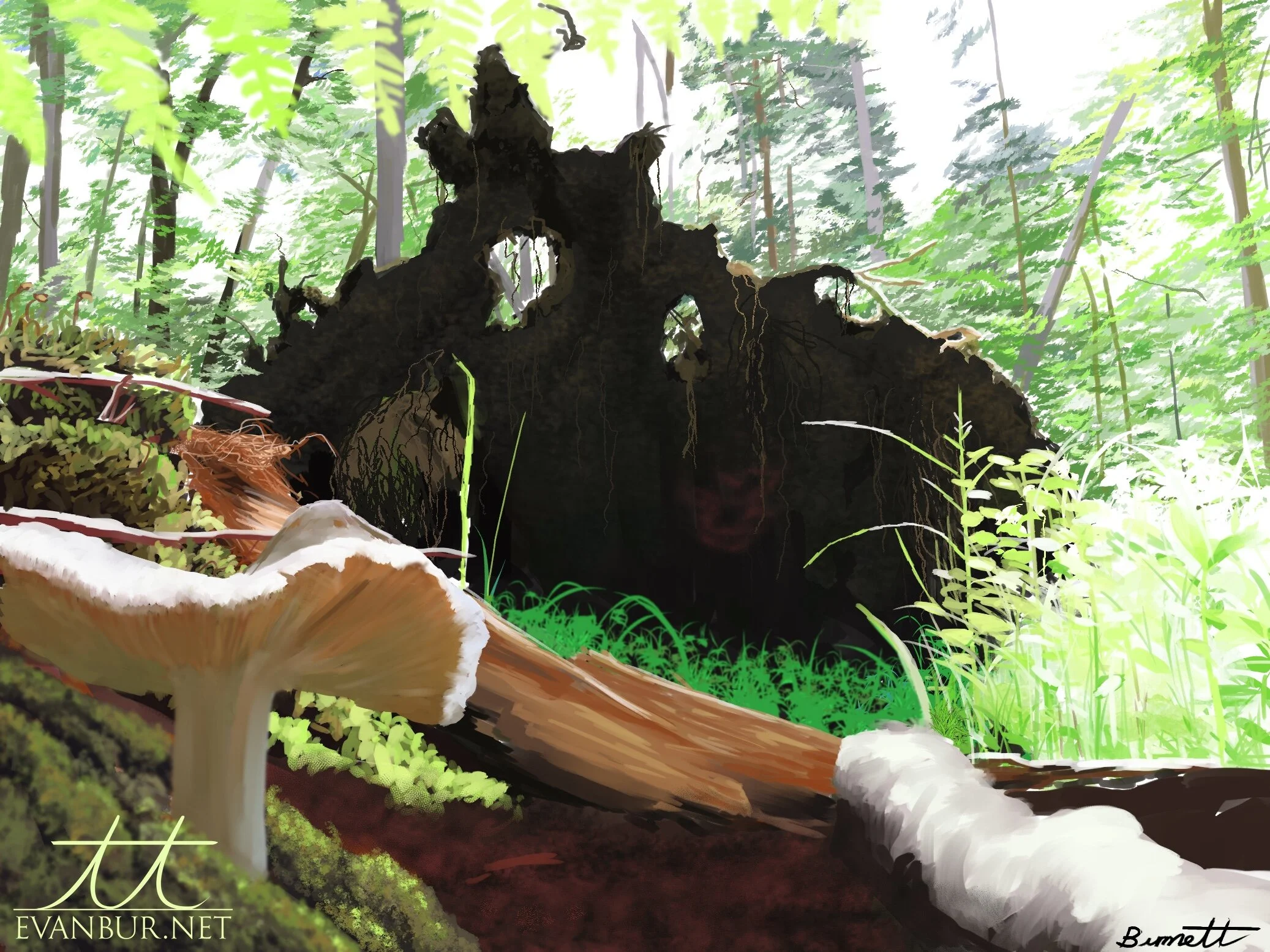 Earth Day Study 2021