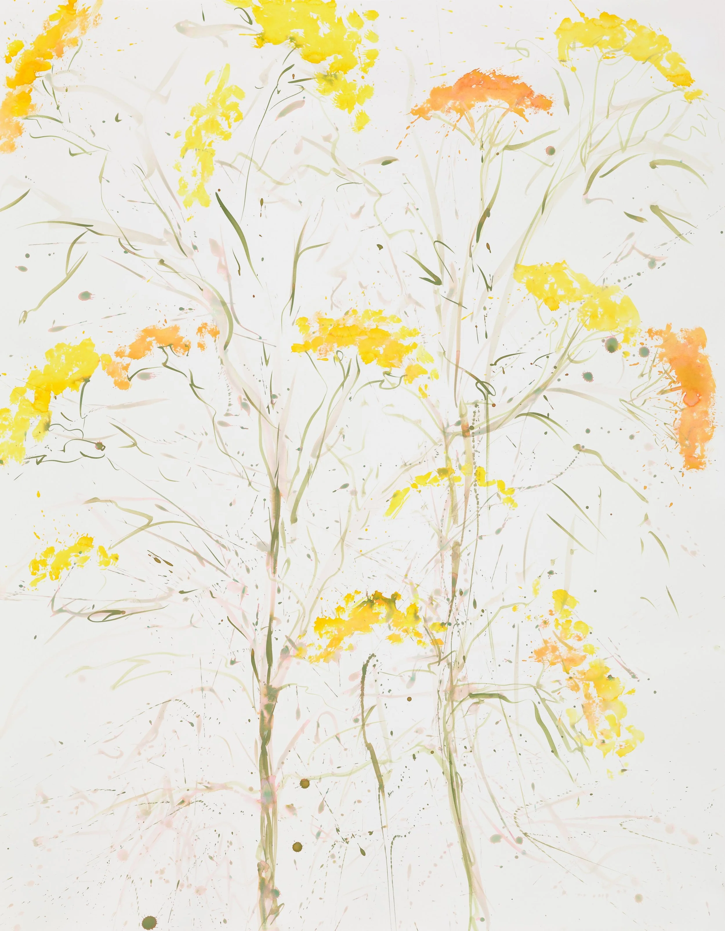 Fennel