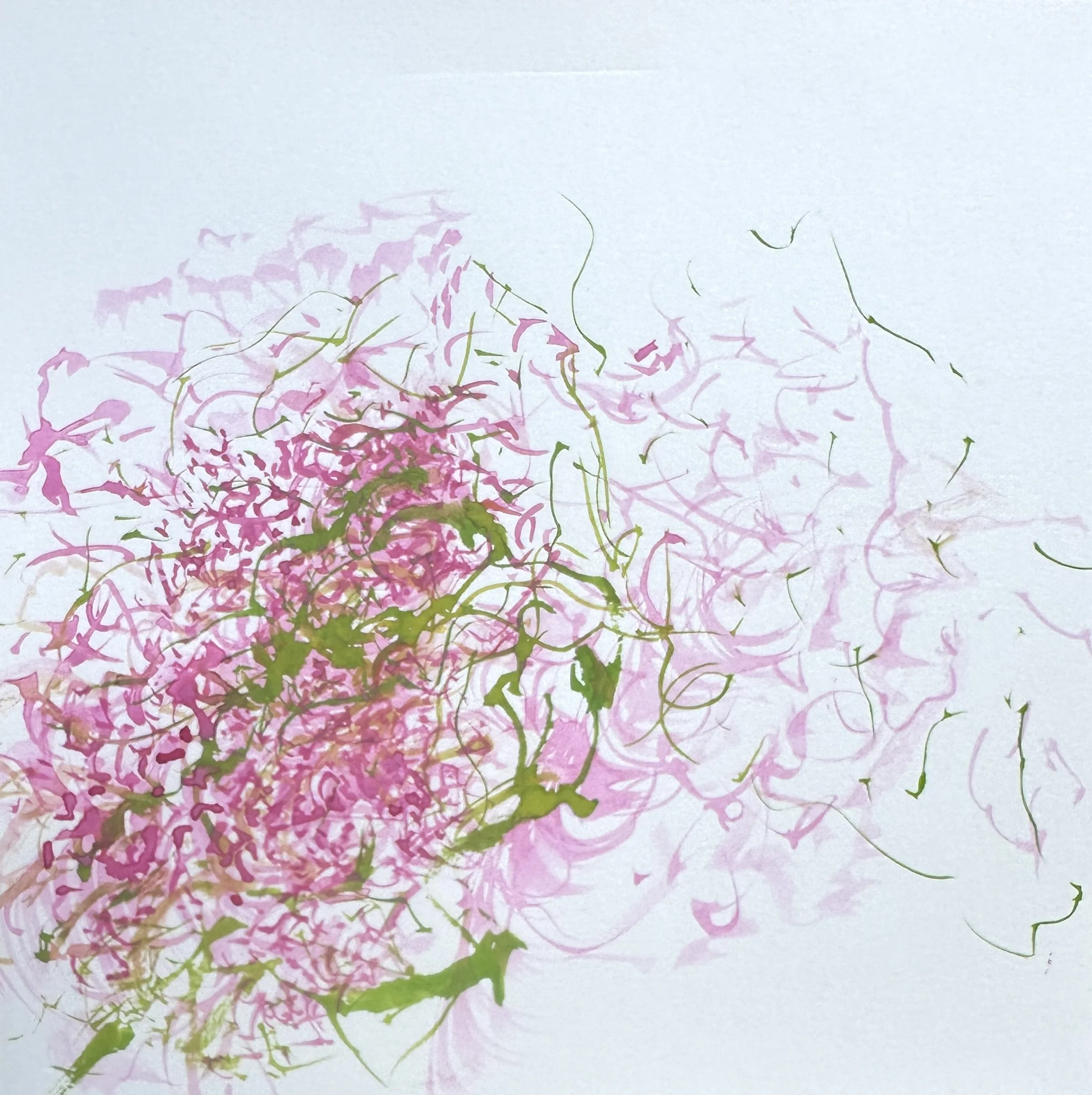 <b>Climbing Rose</b>#Watercolour on paper | 20x20cm I 2025
