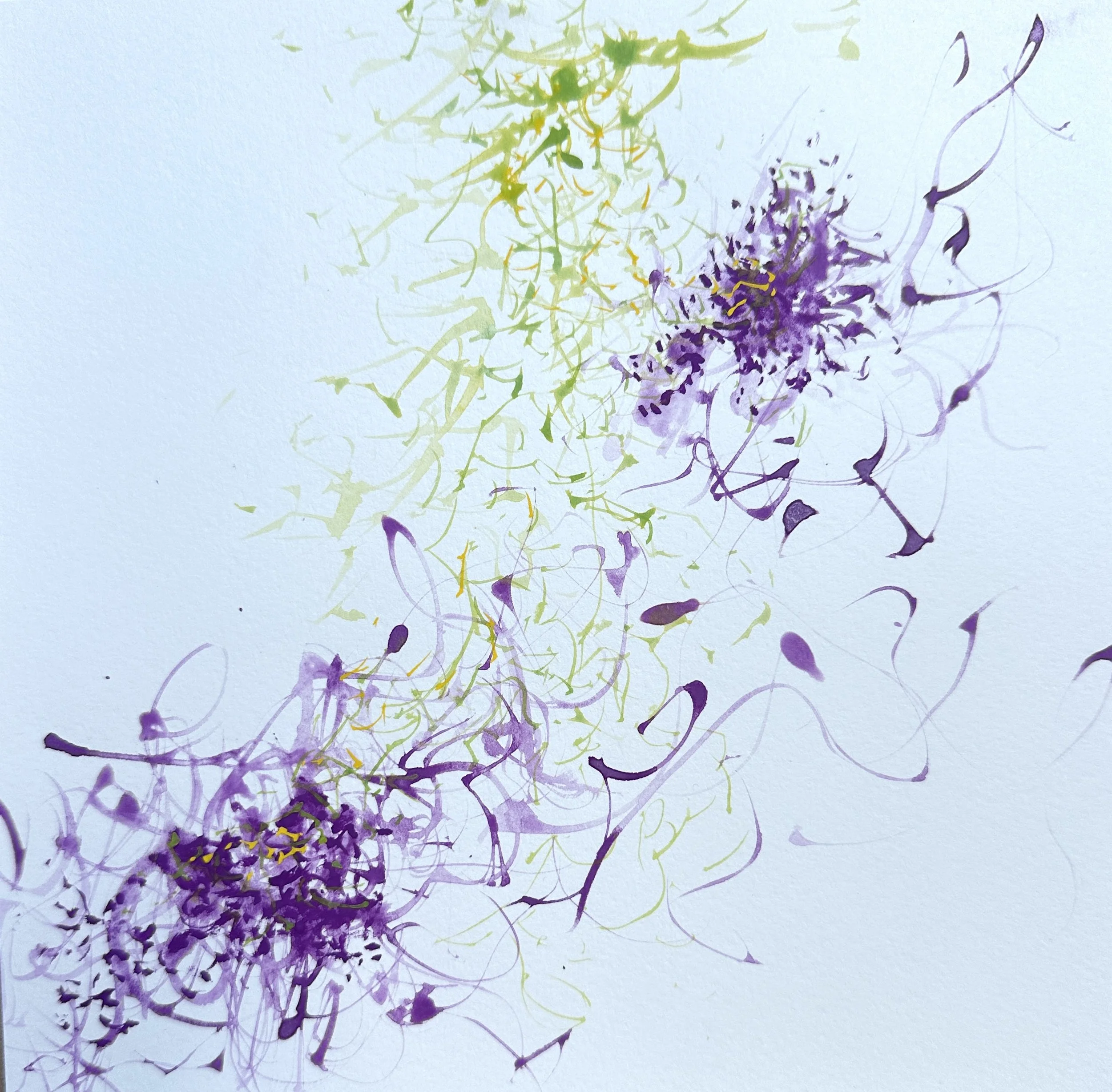 <b>Clematis</b>#Watercolour on paper | 20x20cm I 2025
