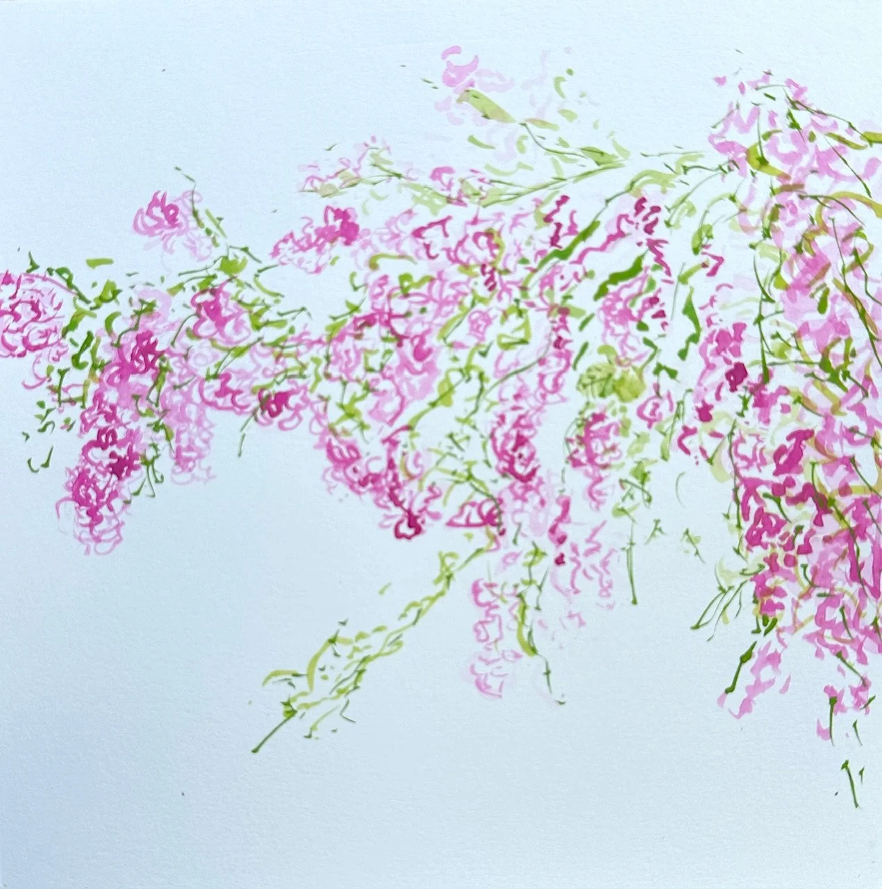 <b>Climbing Rose</b>#Watercolour on paper | 20x20cm I 2025
