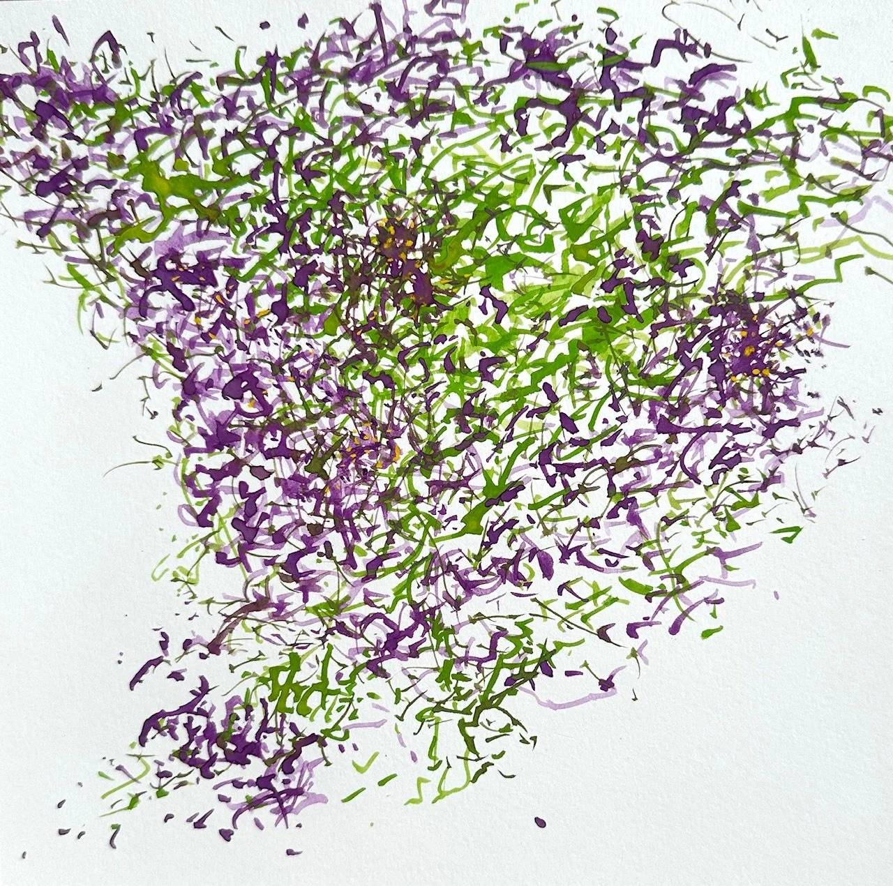 <b>Clematis</b>#Watercolour on paper | 20x20cm I 2025
