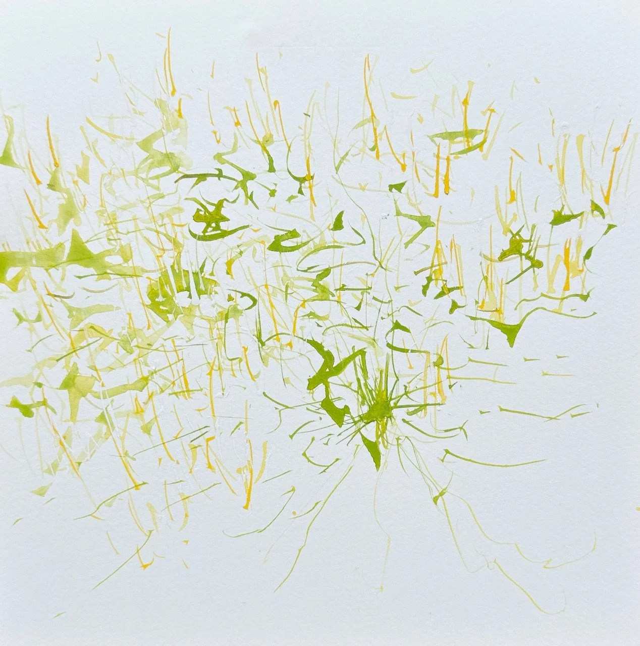<b>Honeysuckle</b>#Watercolour on paper | 20x20cm I 2025