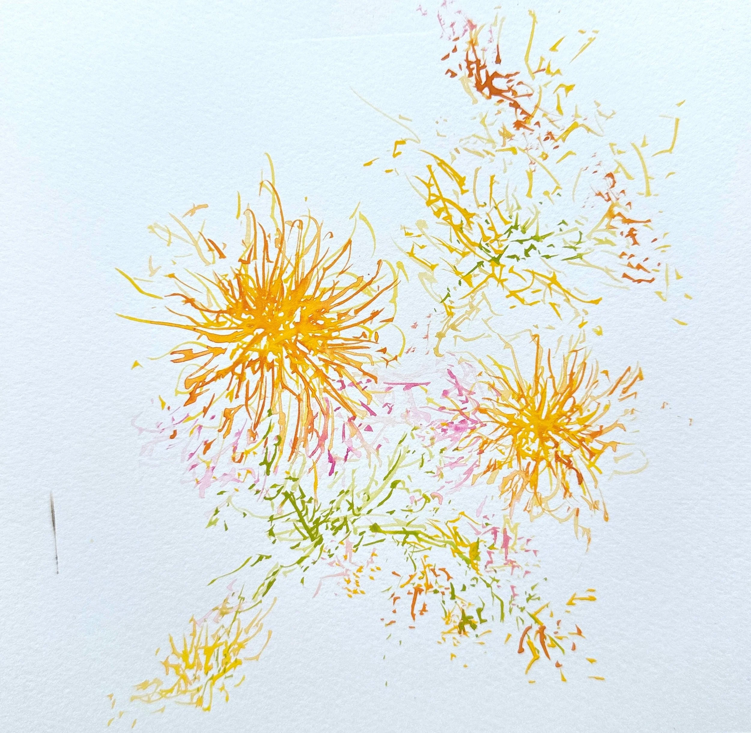Dahlia 5.jpg