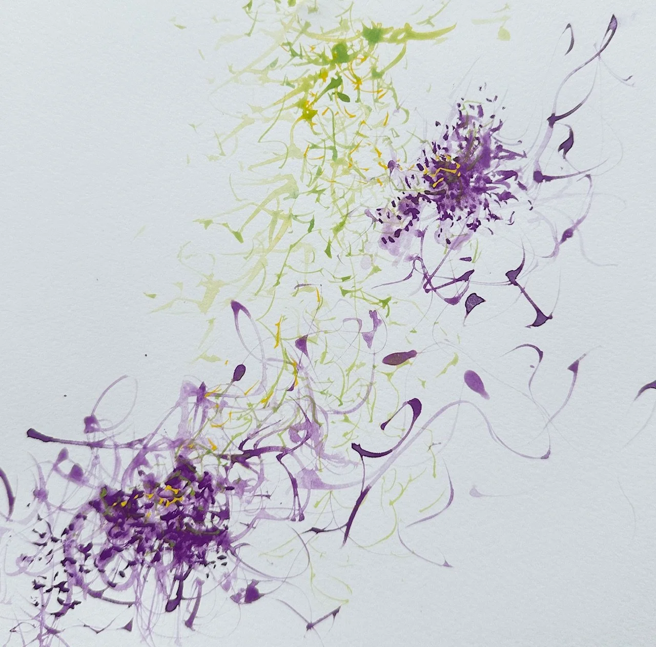 Clematis II
