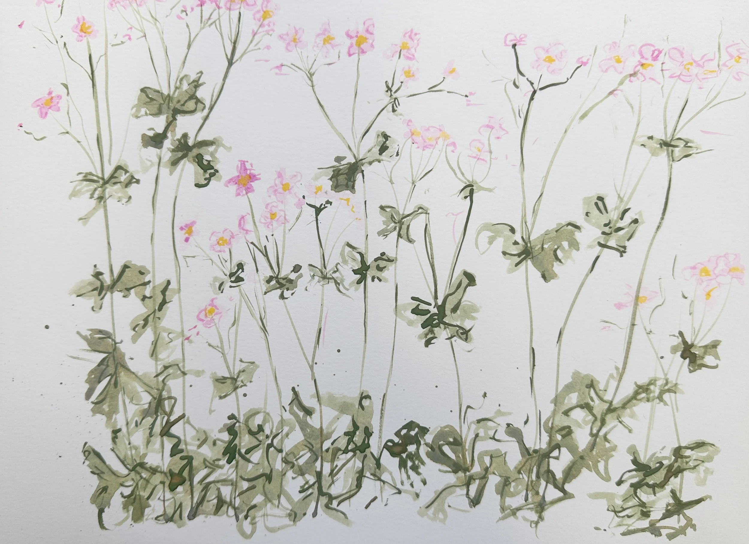 Anenomes (Unframed)