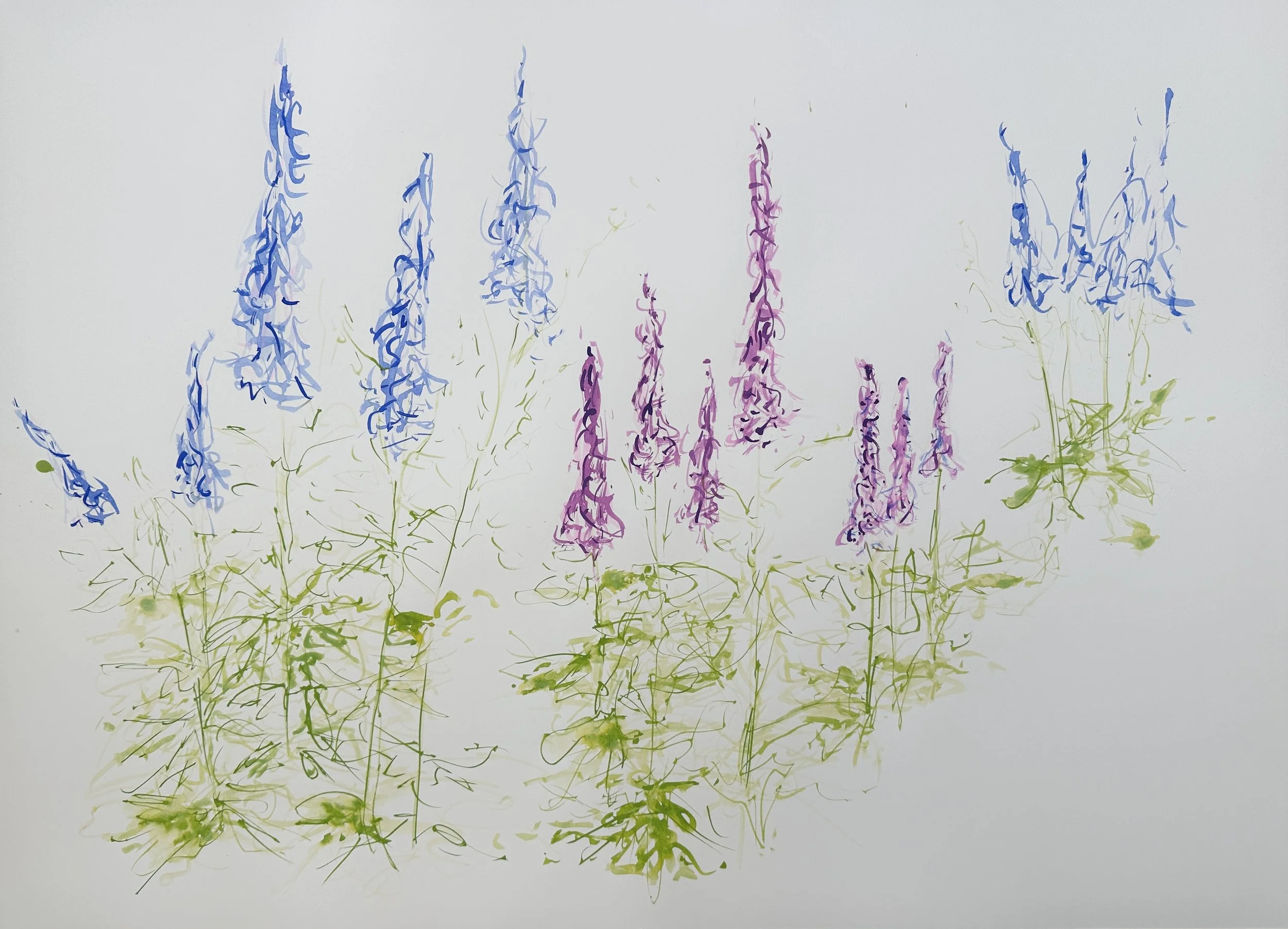 Delphiniums ! (Unframed)