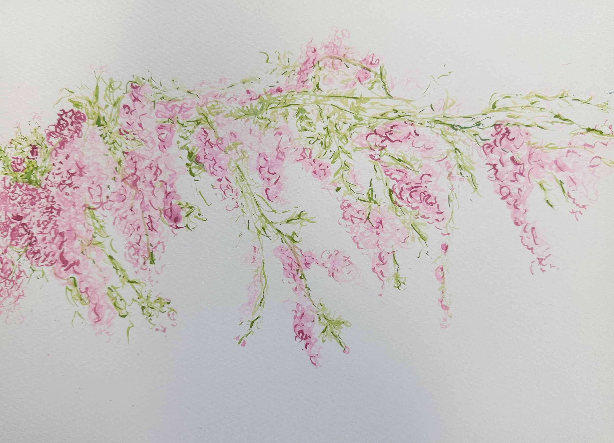 Rambling Rose (Unframed)