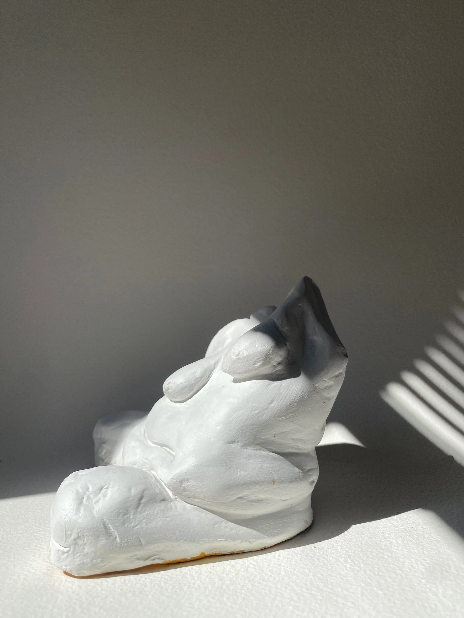 7C0D462C-BEC6-43A3-90CB-F89EEFD9A93A