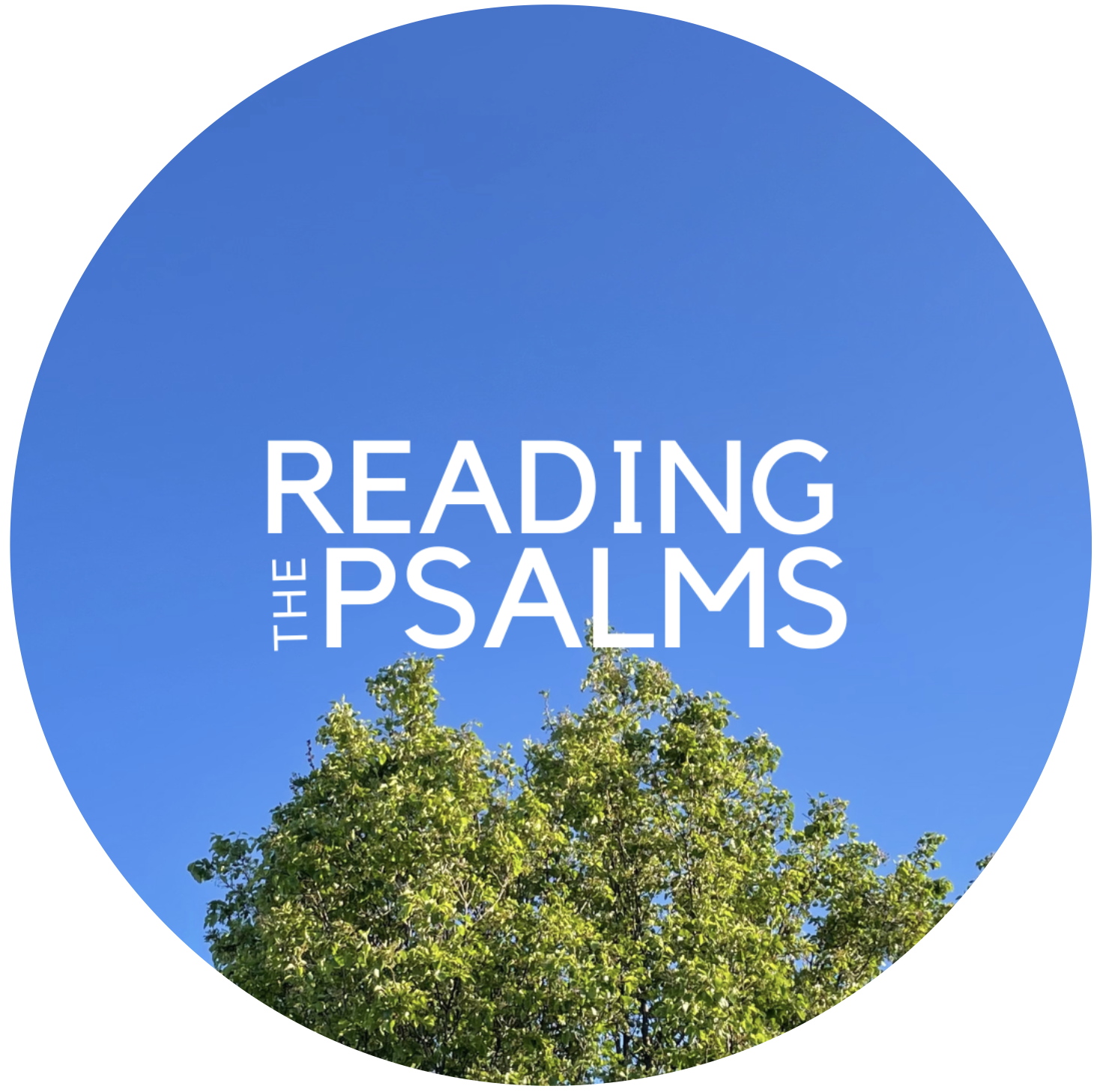 Reading the Psalms