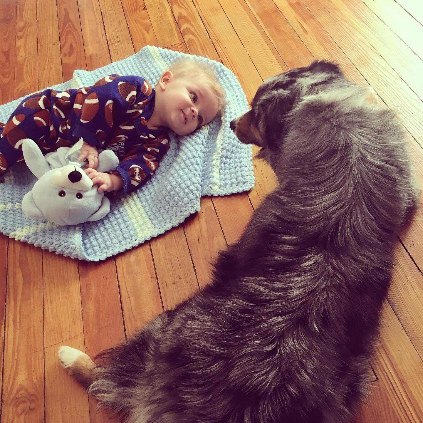 We had to say goodbye to Scout, our dog of 11 years, last week. She could make me madder than a hornet (like when she ate part of one of the kids&rsquo; birthday cakes), but I loved that darn dog. Our hearts are sad as we get used to the house withou