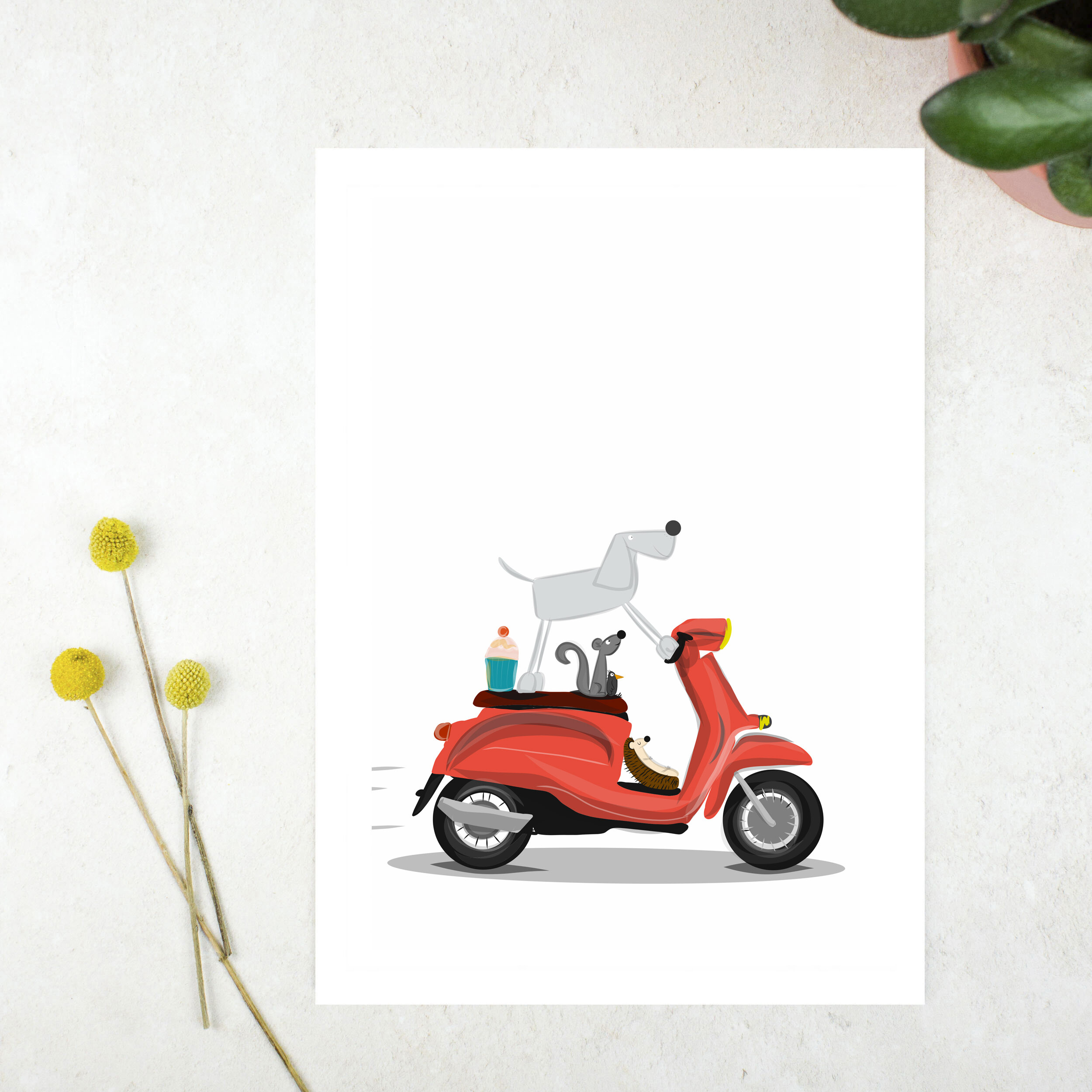 scooter.jpg