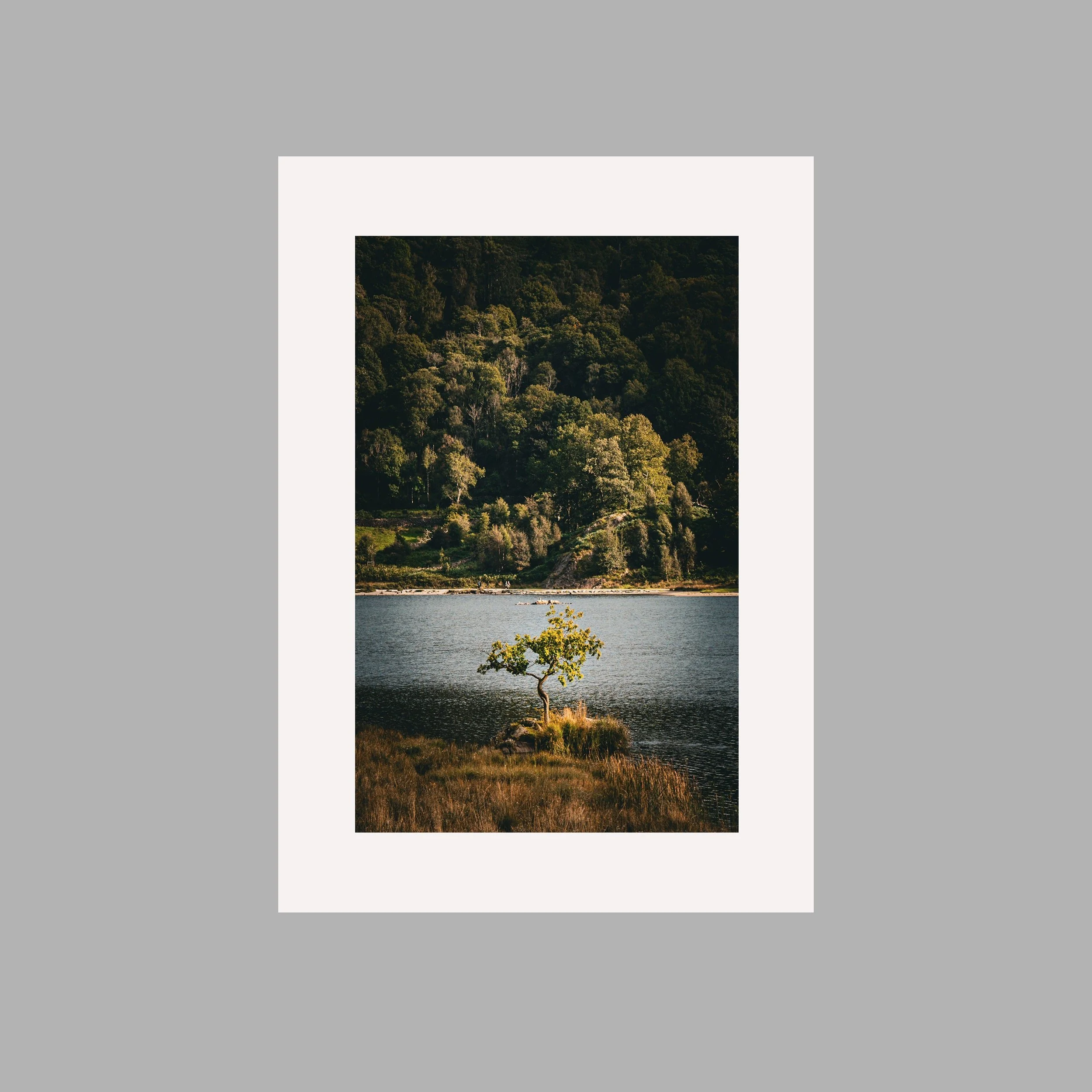 https://i.etsystatic.com/24554350/r/il/6432d6/4279471800/il_fullxfull.4279471800_bqiz.jpg