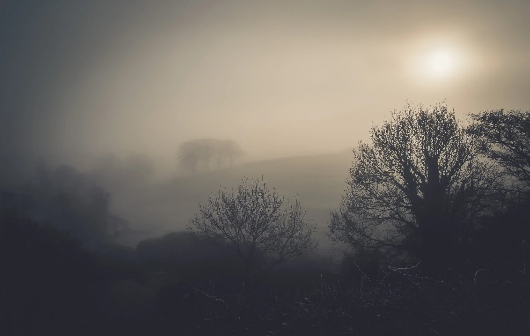 The Morning Mist.jpg