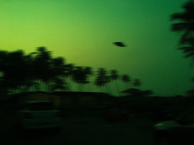 Reptilians All Around Us