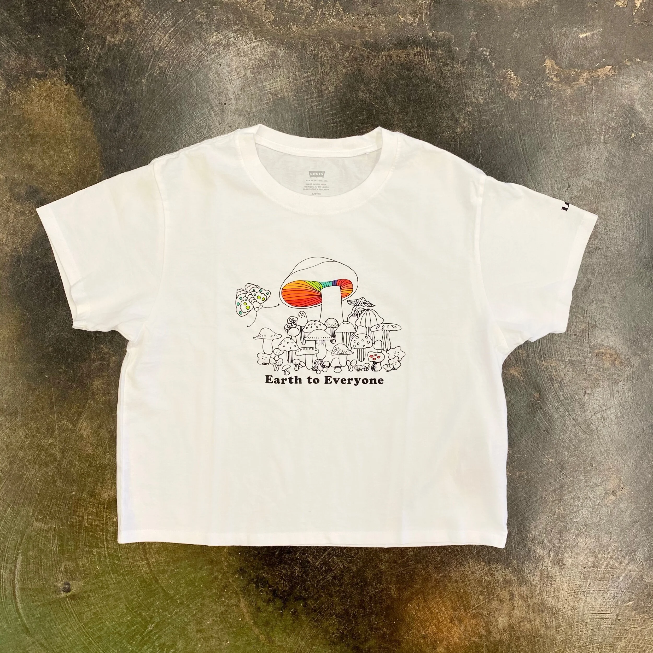 C0049D94-0823-4713-9256-AA5529876E0D