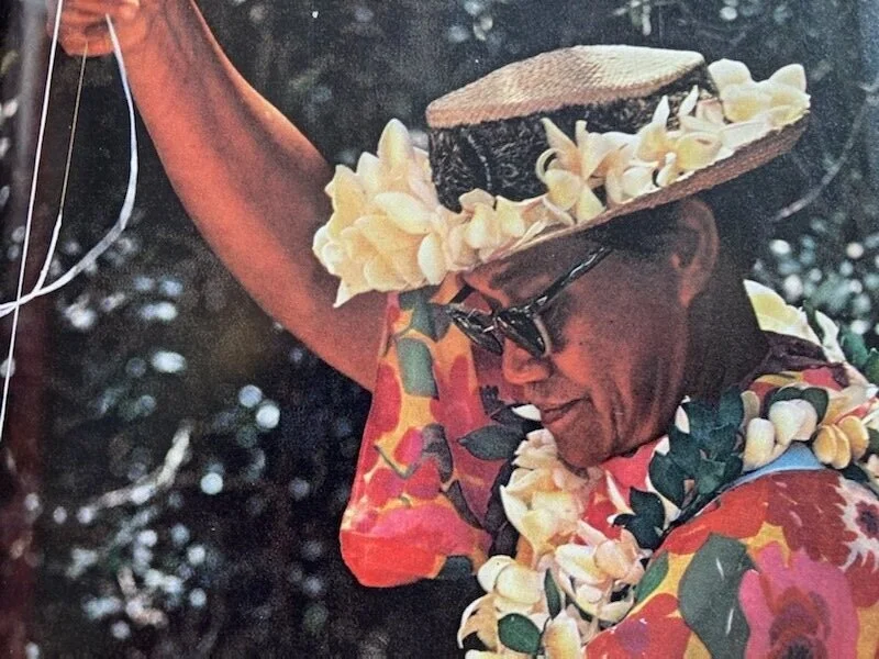 vintage hawaii.jpeg