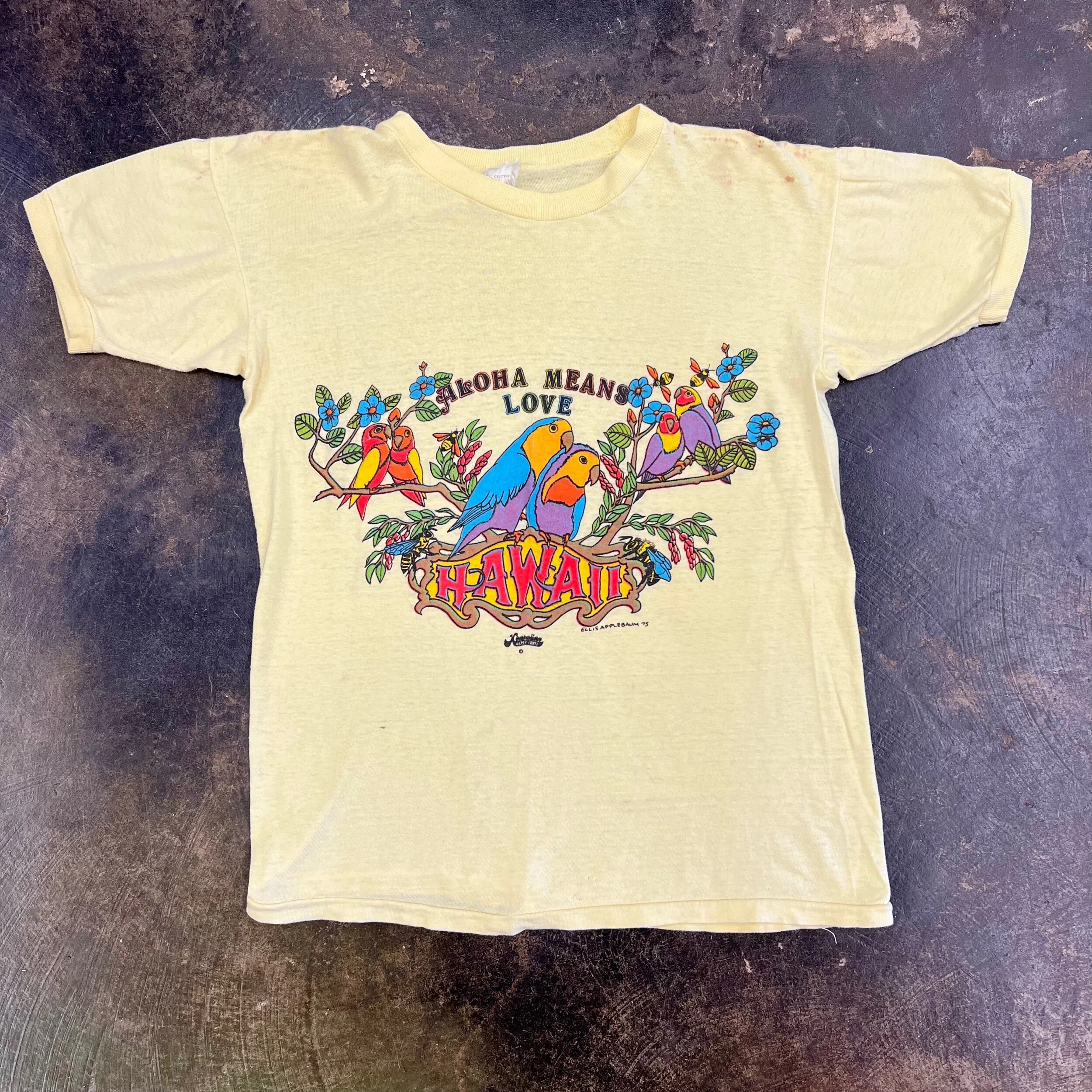 B8851C36-BD3B-4E19-ACD5-CB28FFE59E5E