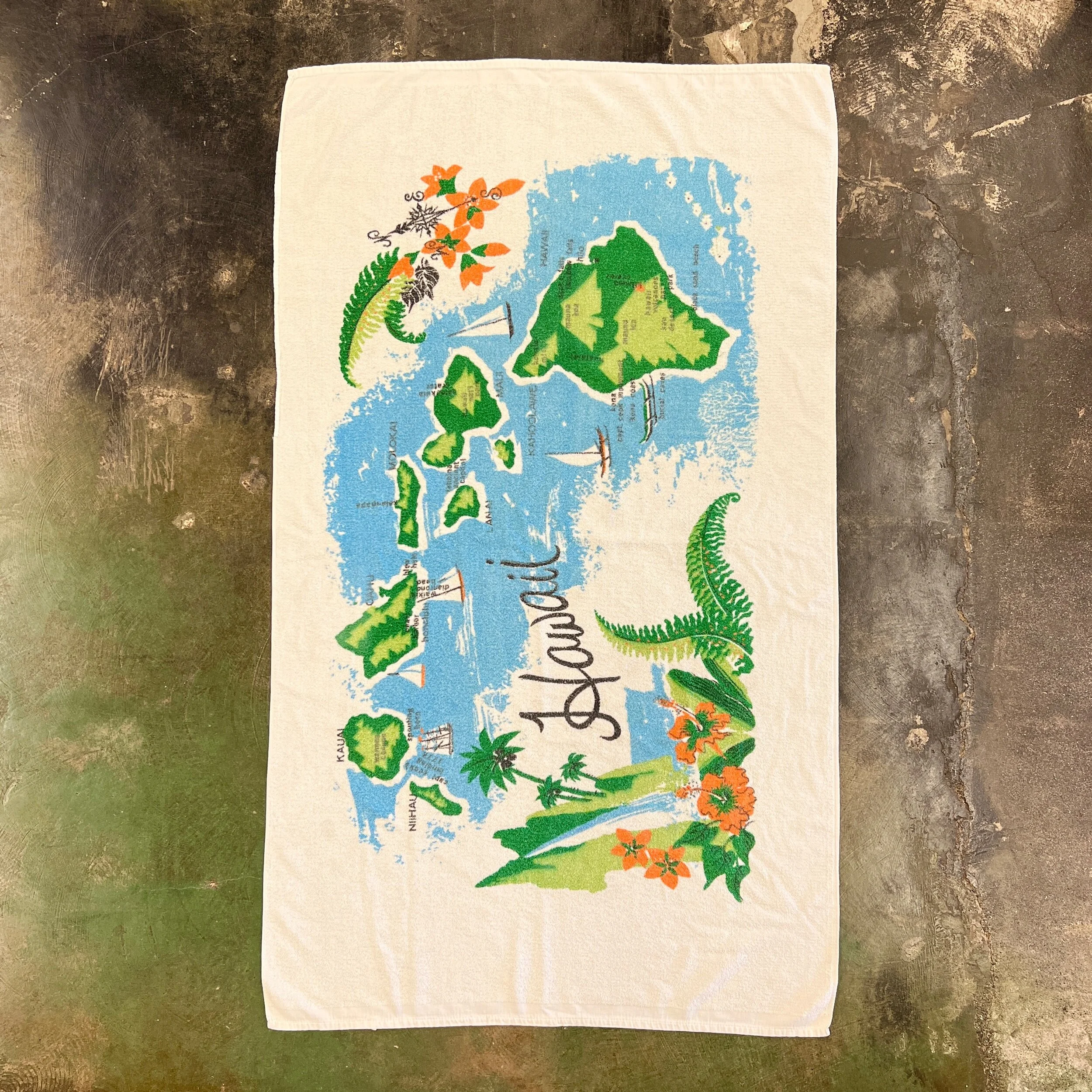 A89F3E08-AF96-4EEA-8377-C8E5B5D23E01