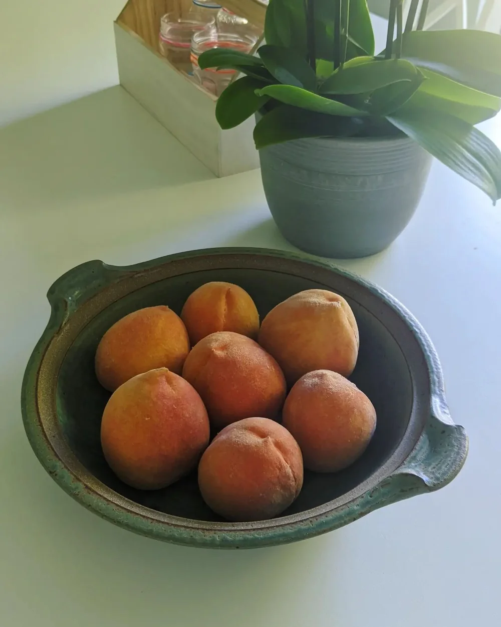 We have peaches again after pruning so heavily a couple years ago! And they're bigger than ever. That's life though, right?

In order to harvest the big juicy fruit life has to offer we often have to step back and prune. We have to pause long enough 
