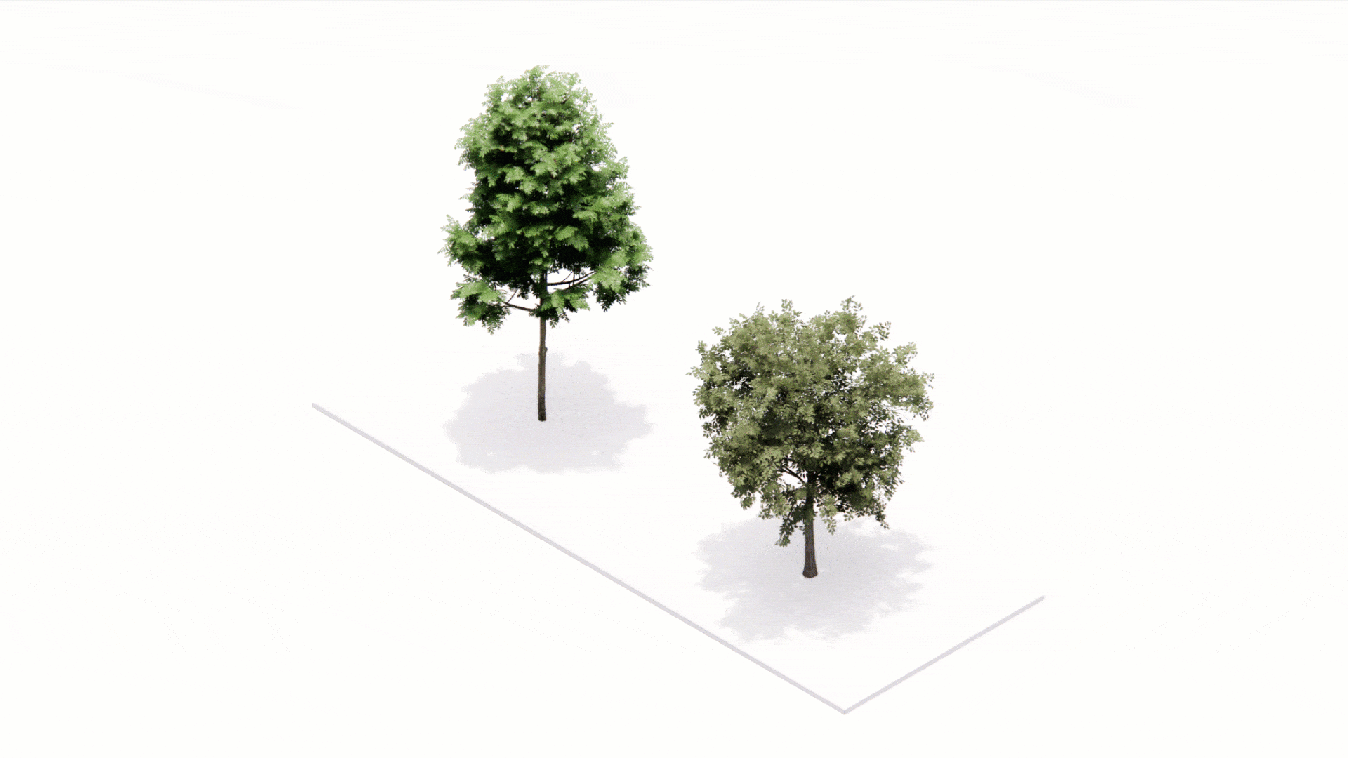 Using Video Masks to Create Animated Assets in Enscape