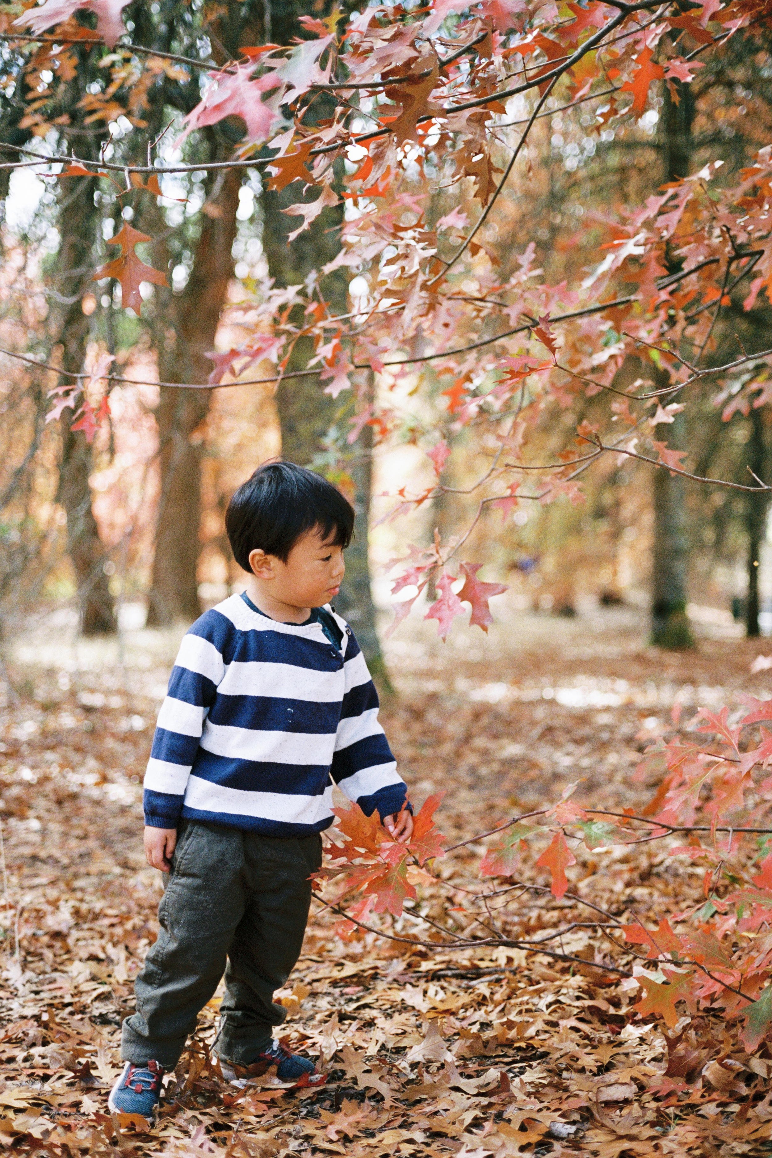 Adelaide Family Trip in Autumn 22.JPG