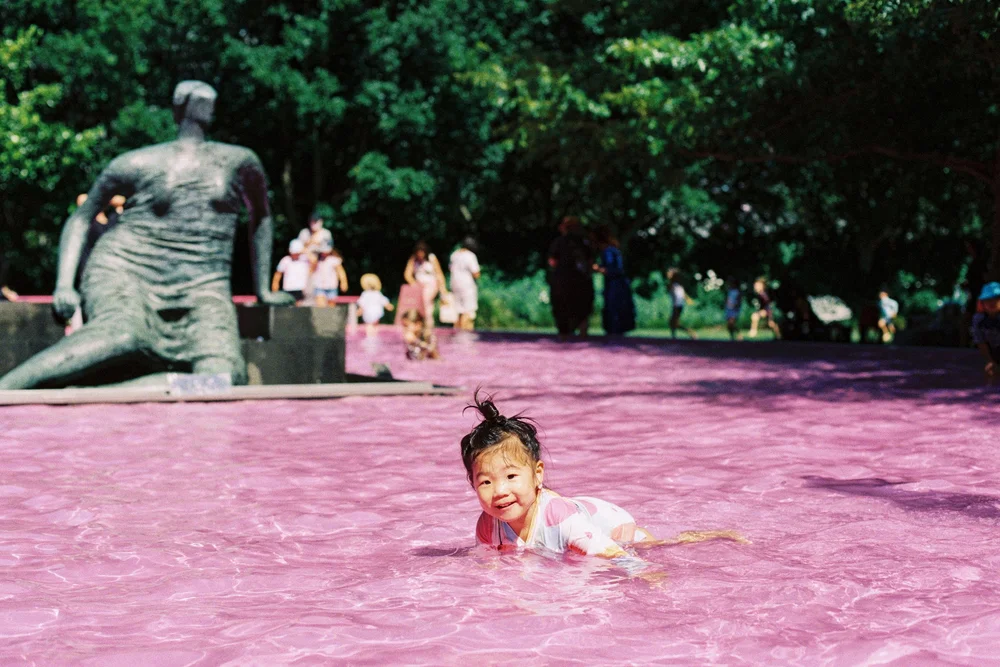 Pink Summer's Day in Melbourne 04.JPG